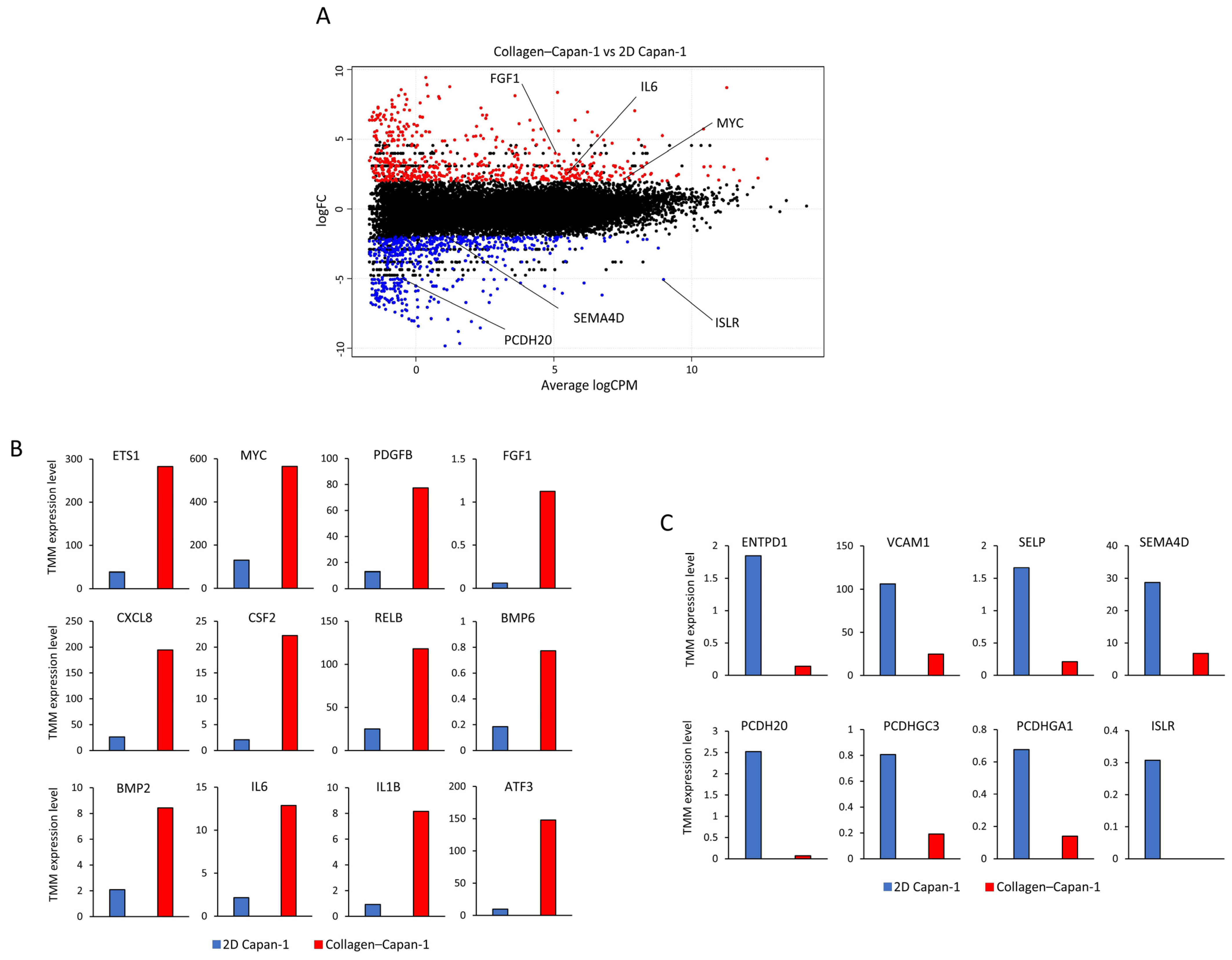 Bioengineering 10 01437 g002
