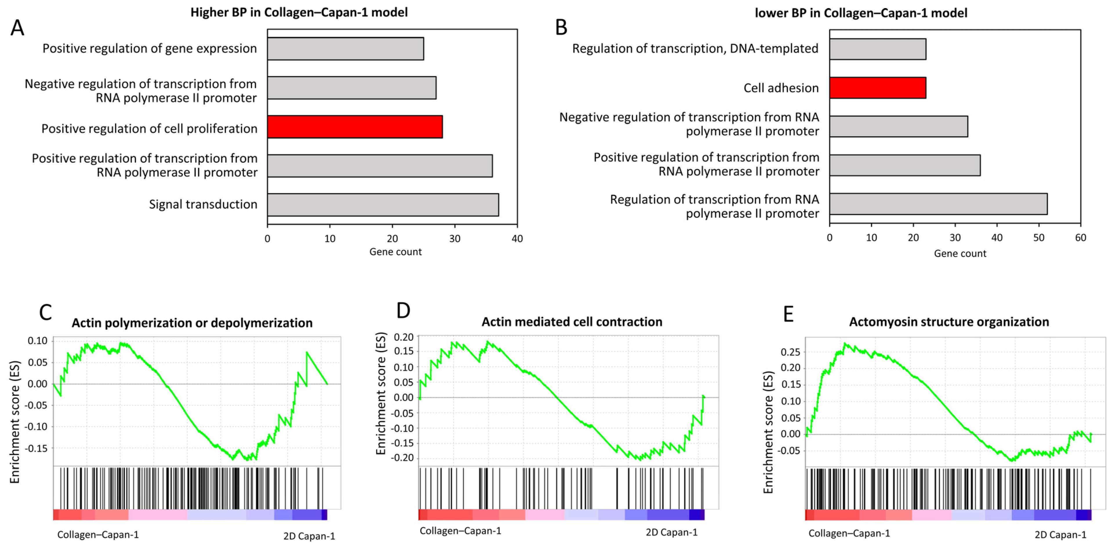 Bioengineering 10 01437 g003