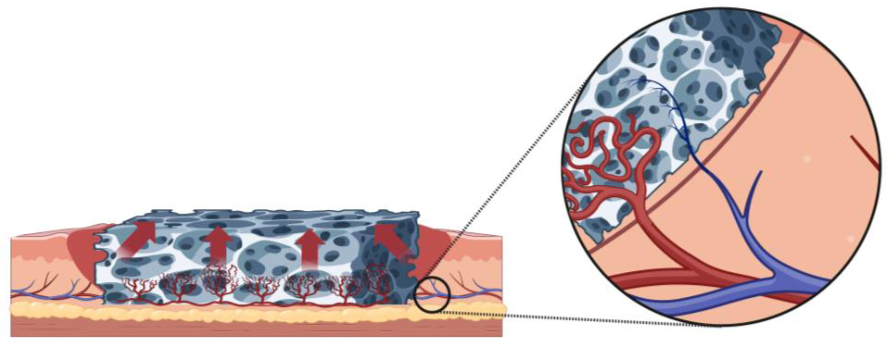 Bioengineering 10 01440 g003