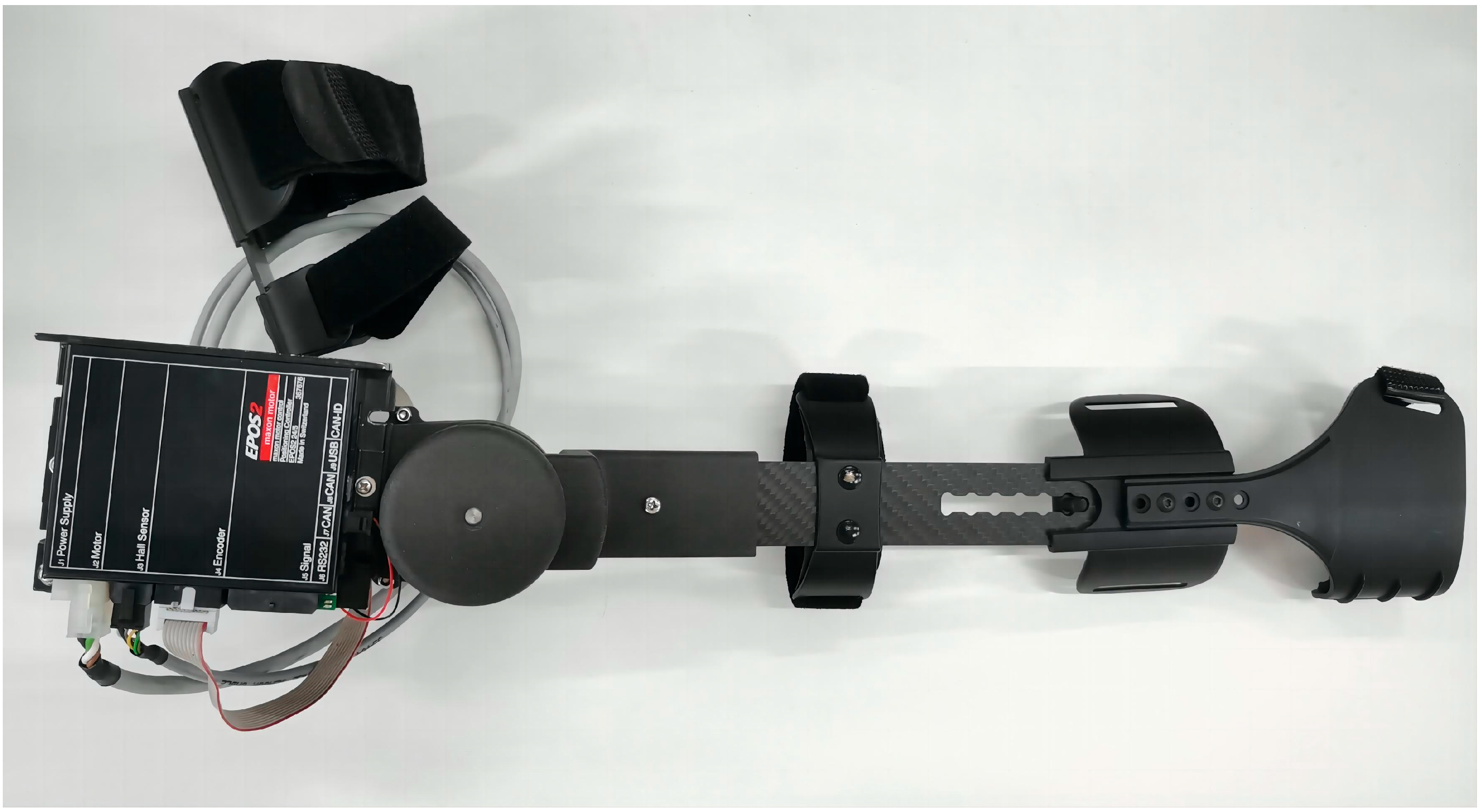 Bioengineering 10 01441 g002