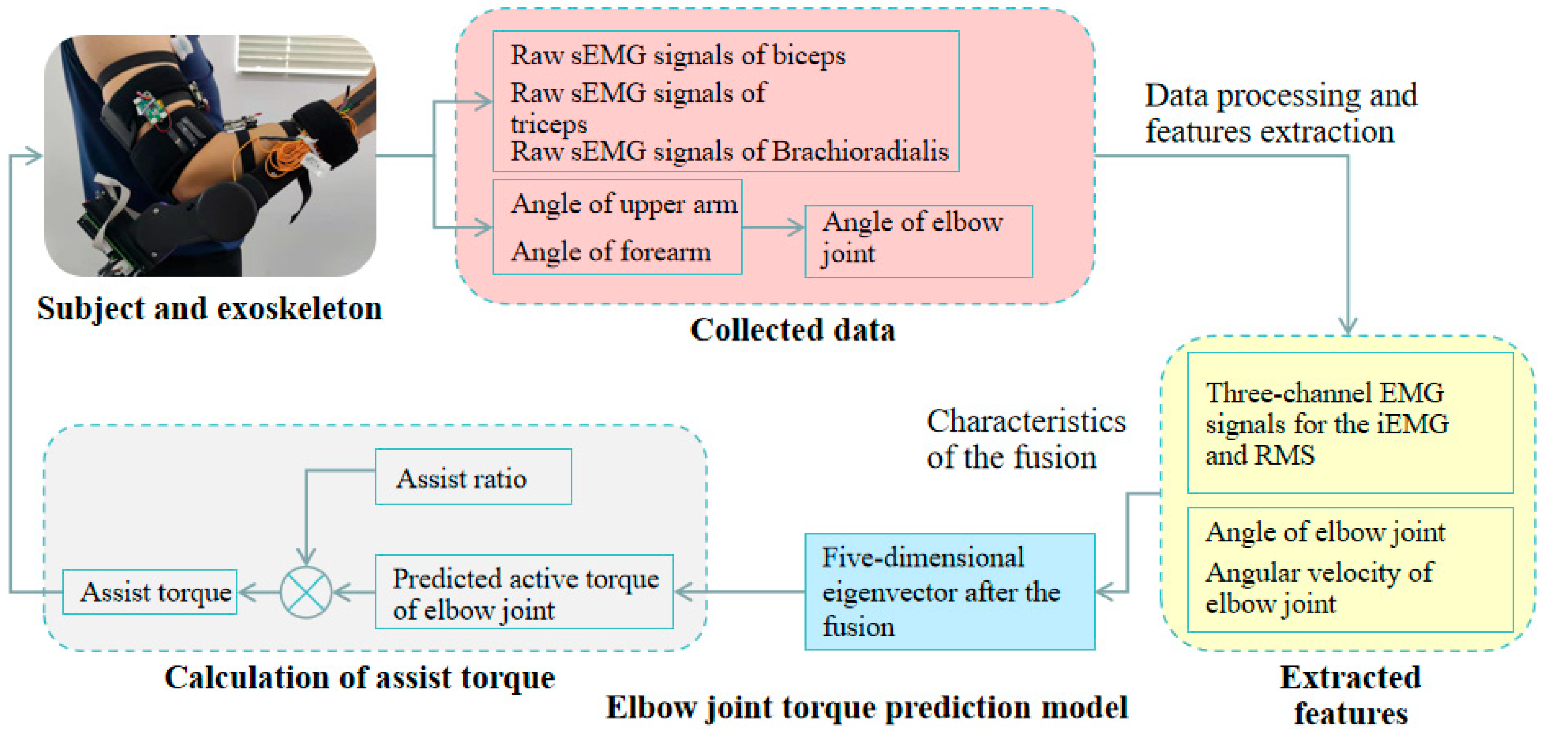 Bioengineering 10 01441 g008