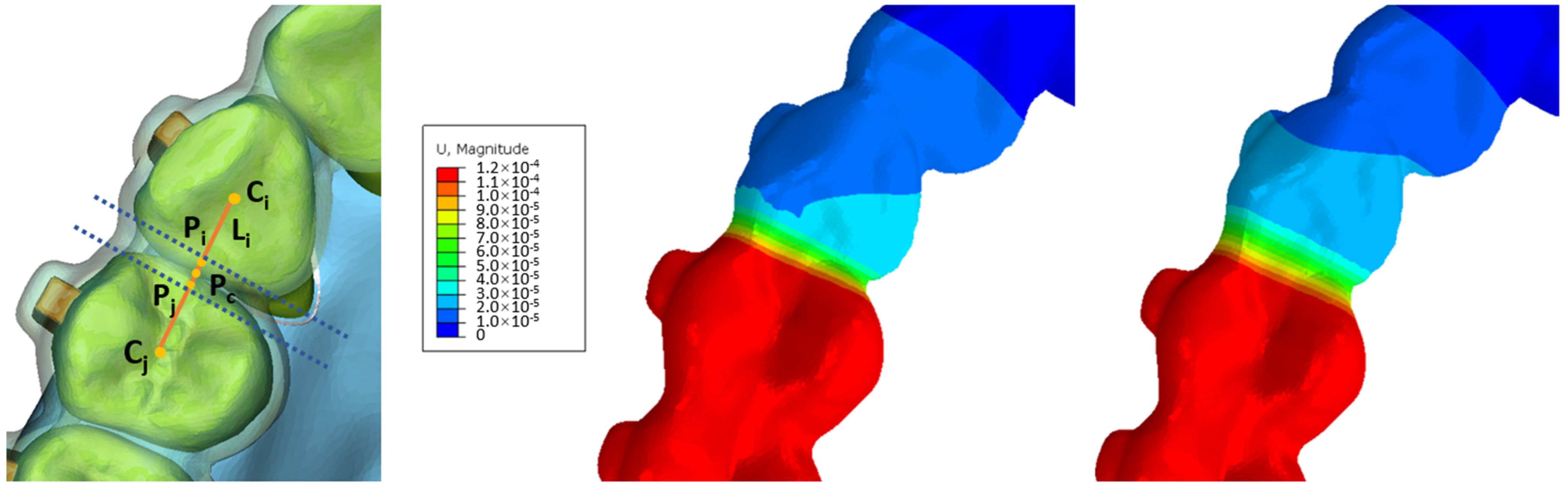 Bioengineering 11 00003 g005