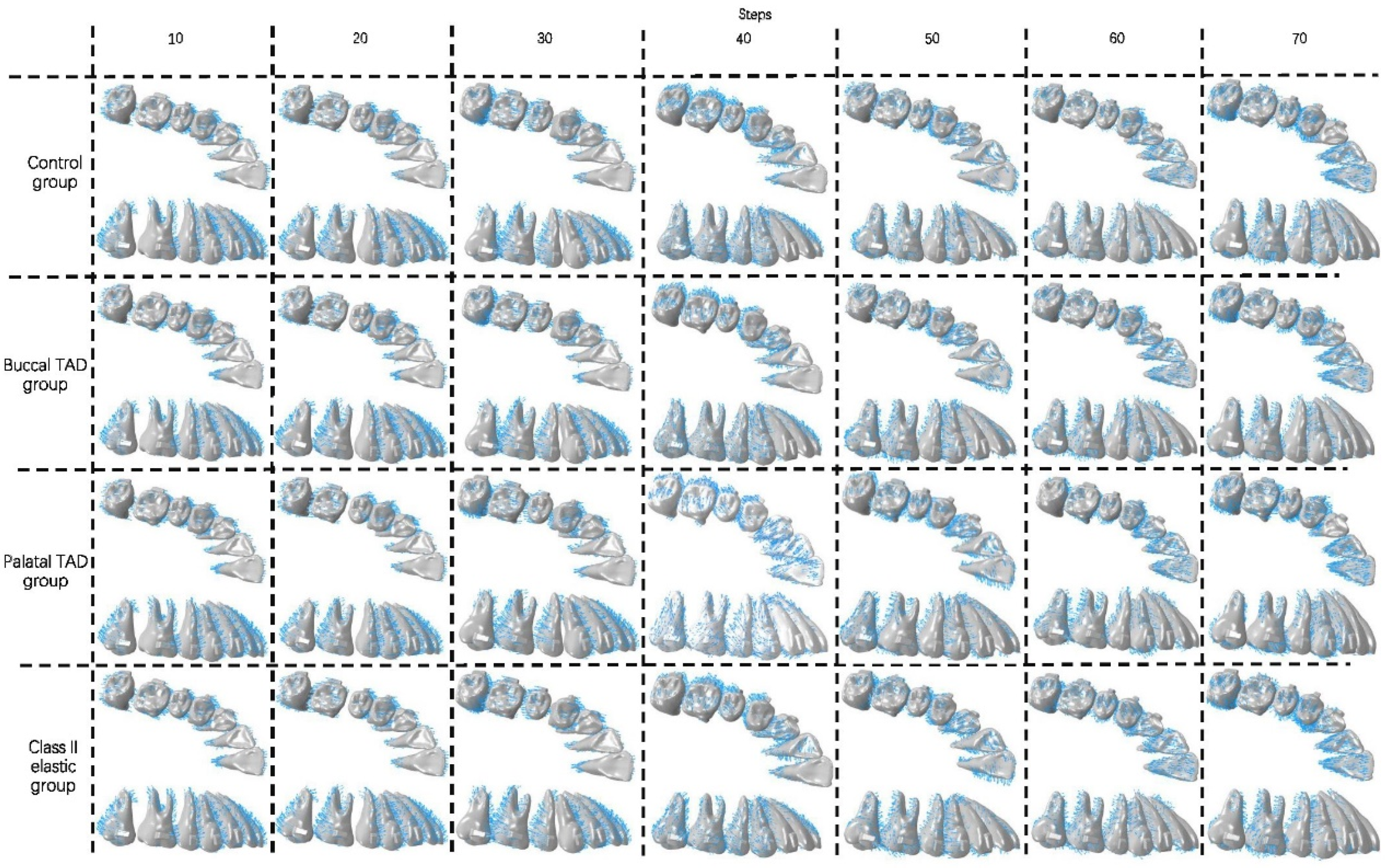 Bioengineering 11 00003 g009
