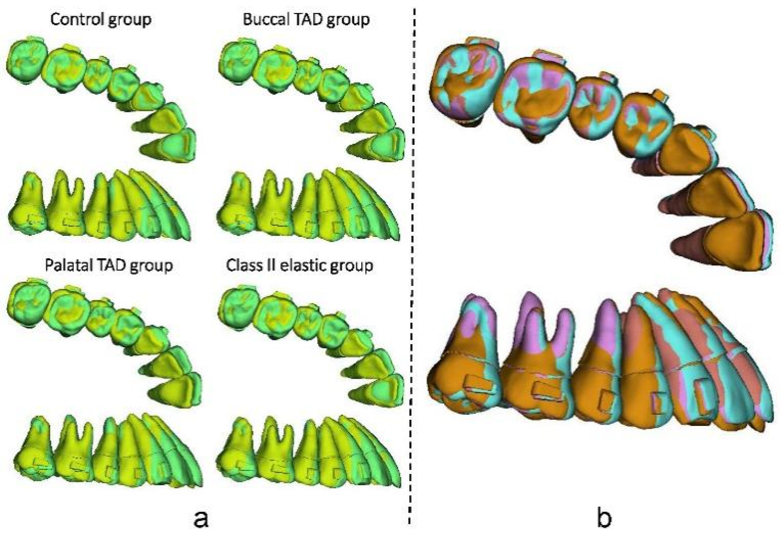Bioengineering 11 00003 g010