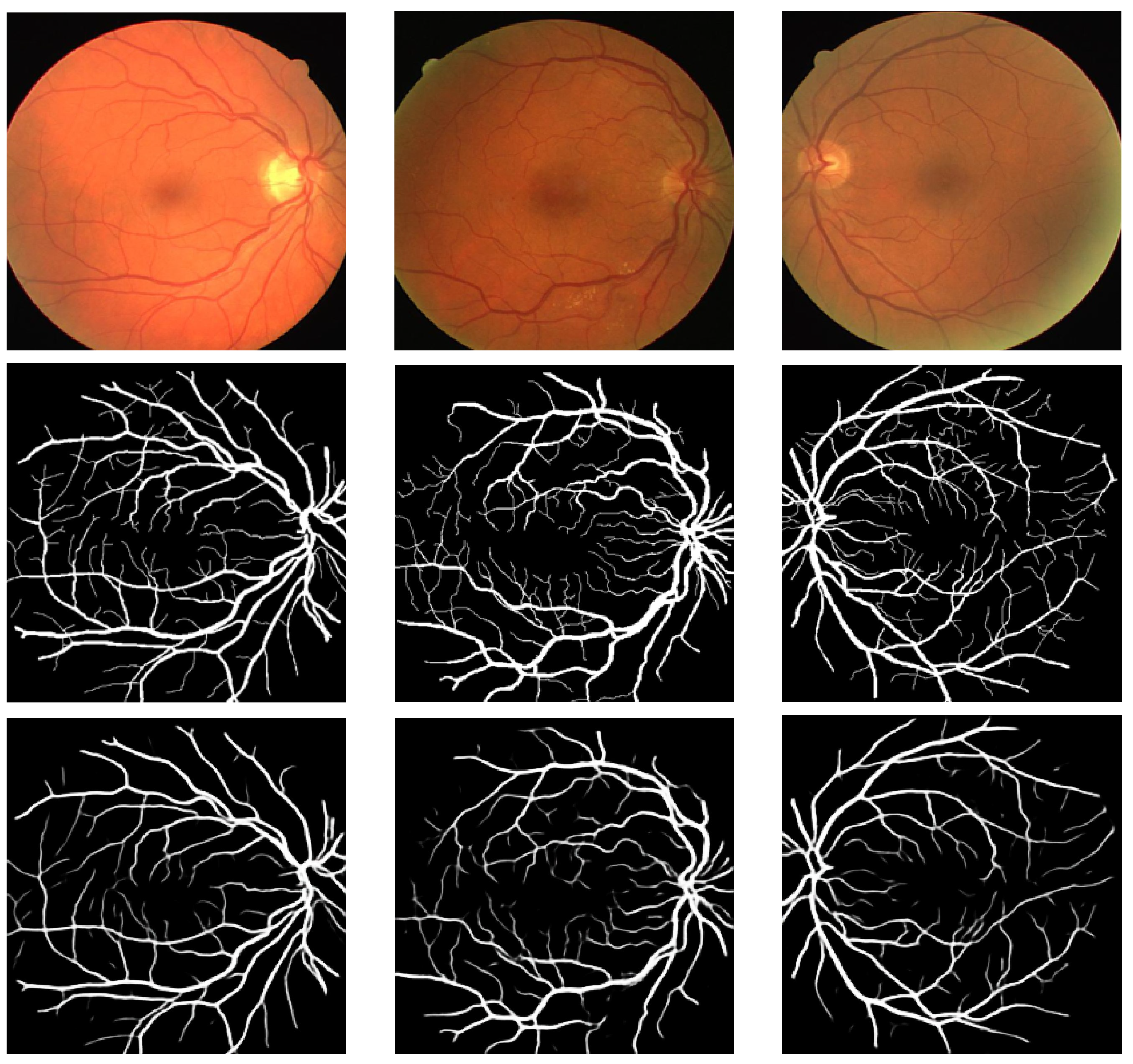 Bioengineering 11 00004 g005