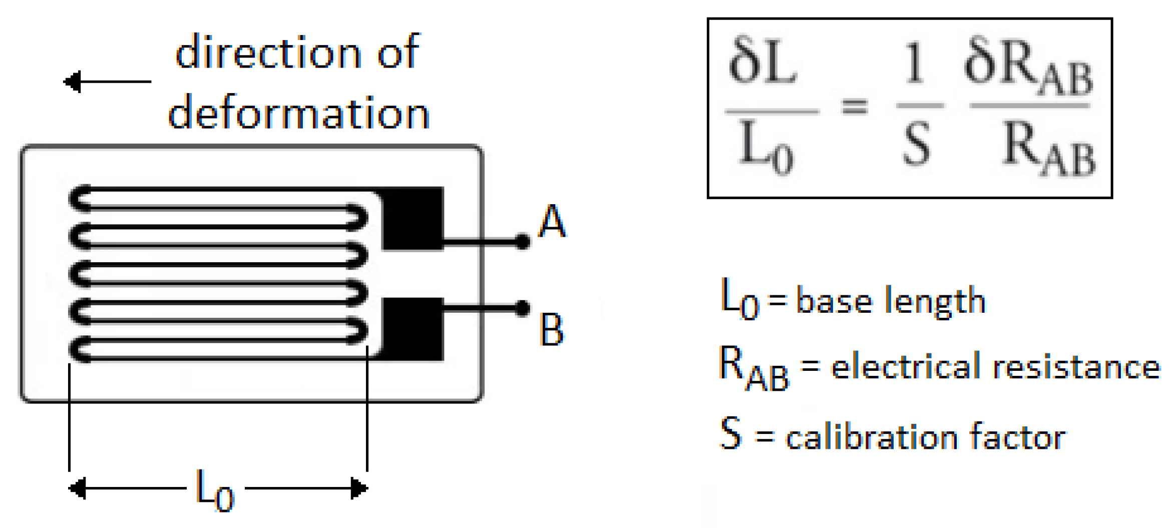 Bioengineering 11 00005 g002
