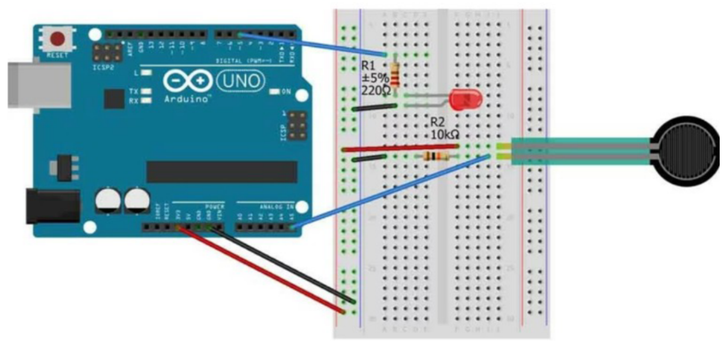 Bioengineering 11 00005 g003