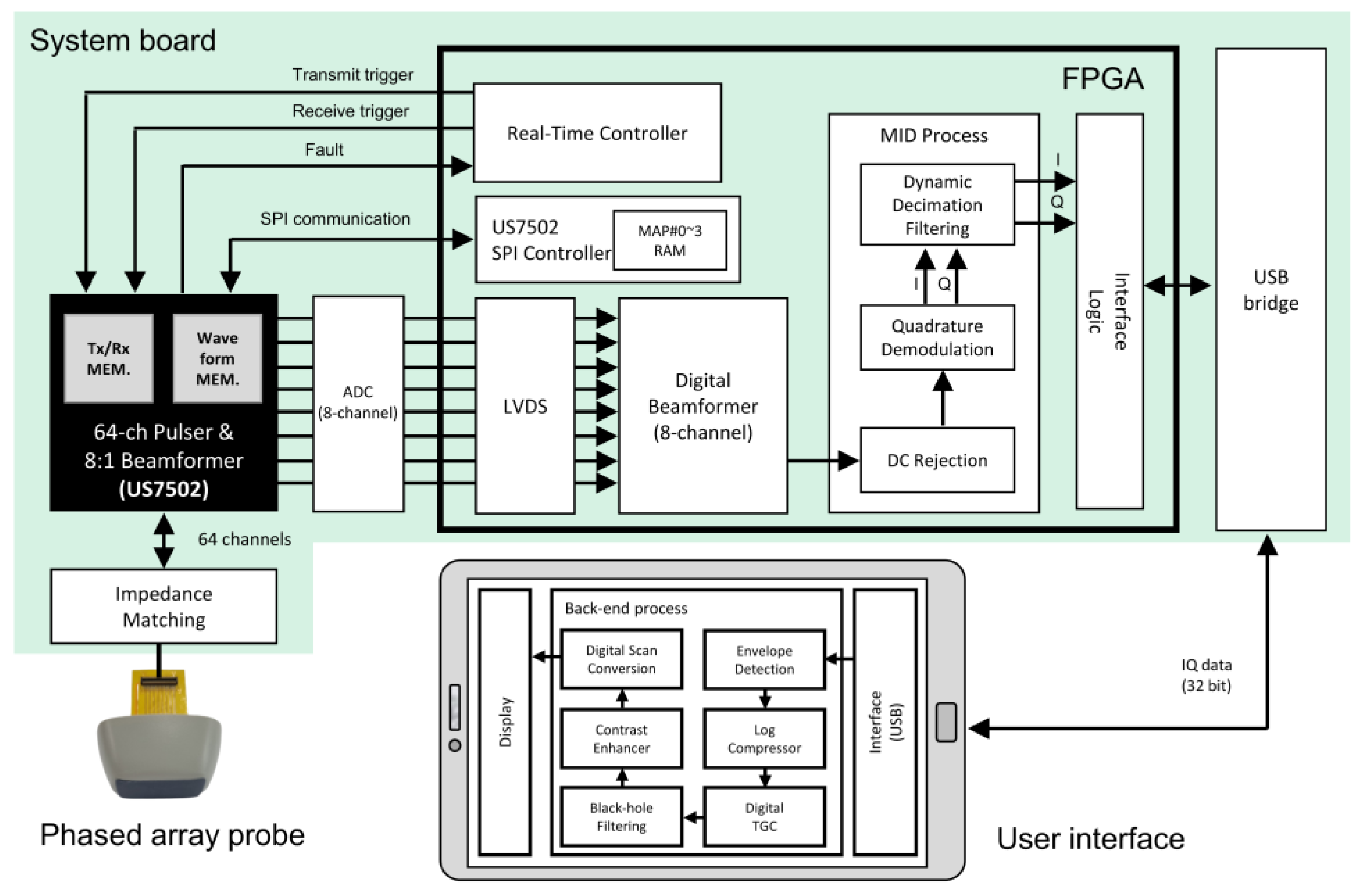 Bioengineering 11 00008 g005