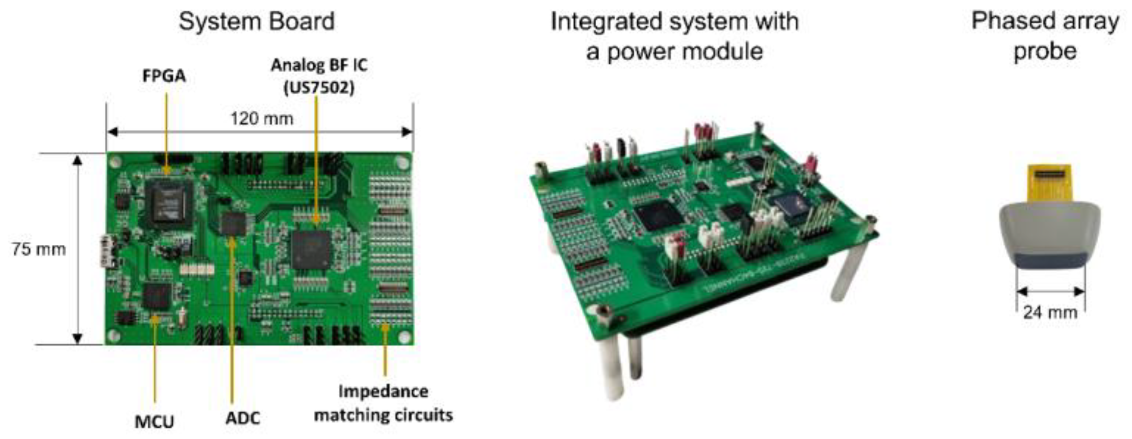 Bioengineering 11 00008 g007