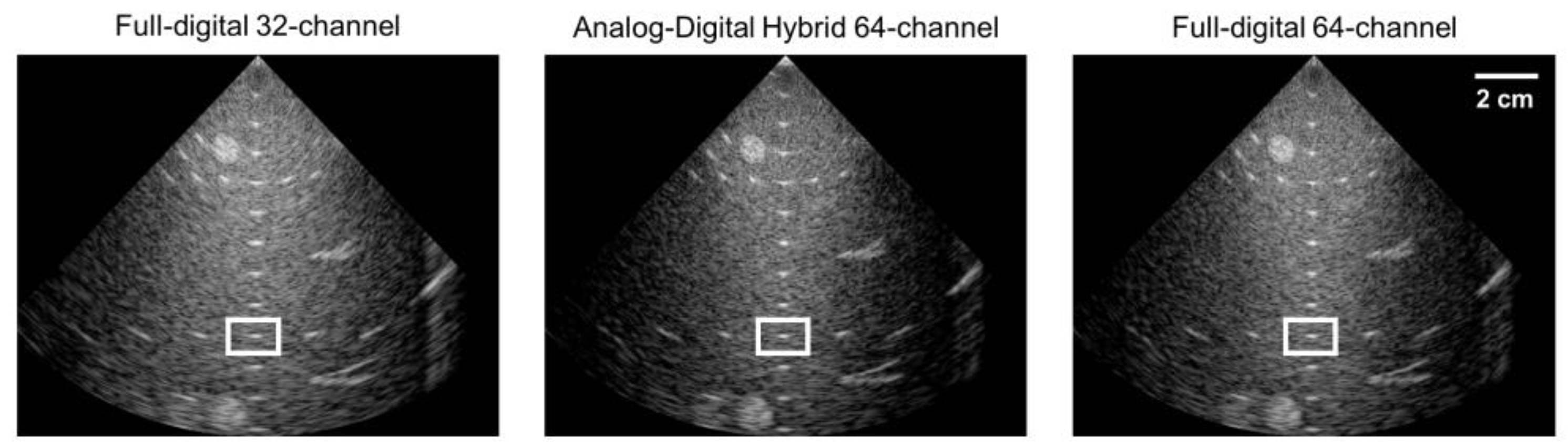 Bioengineering 11 00008 g010