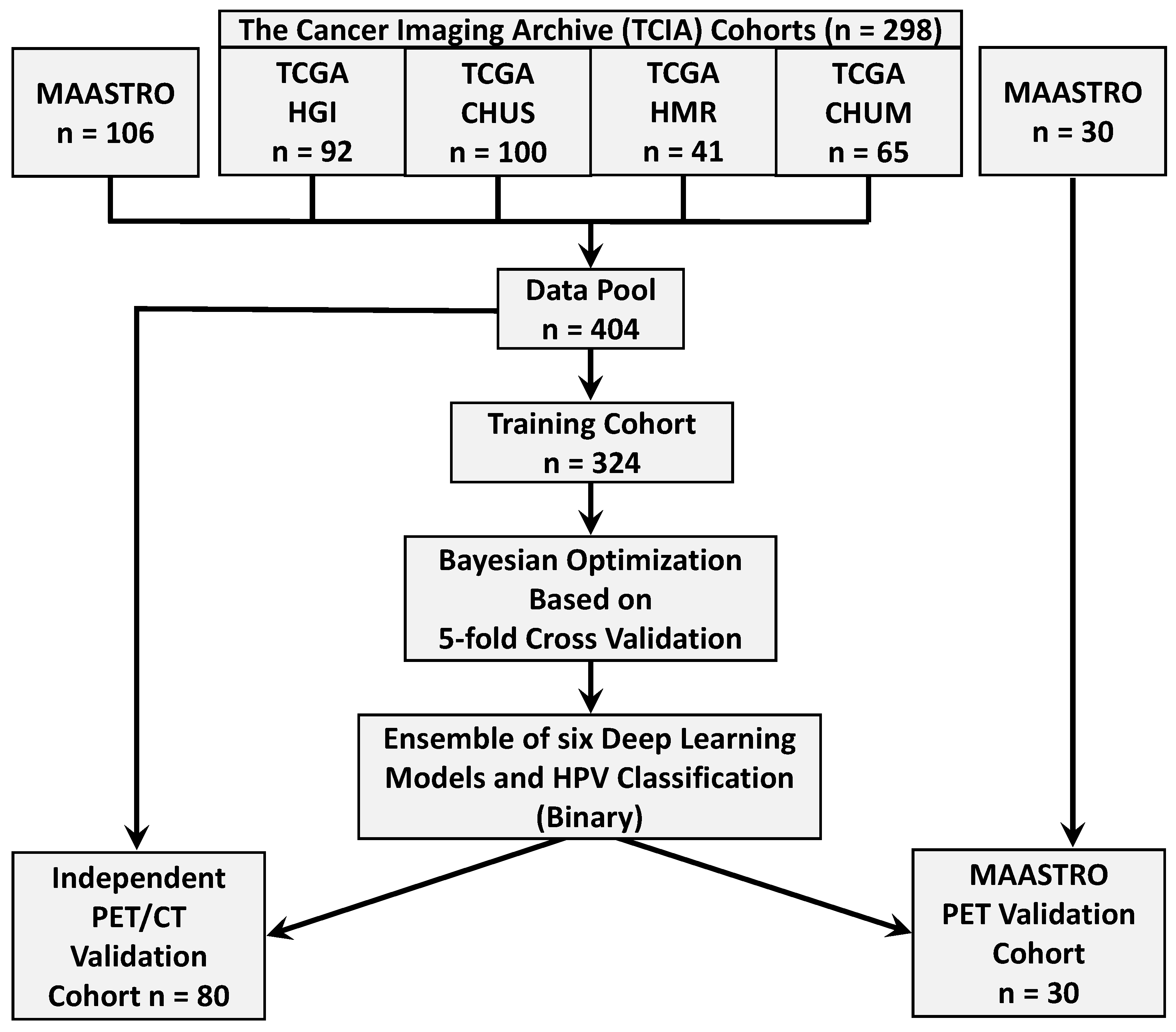 Bioengineering 11 00013 g001