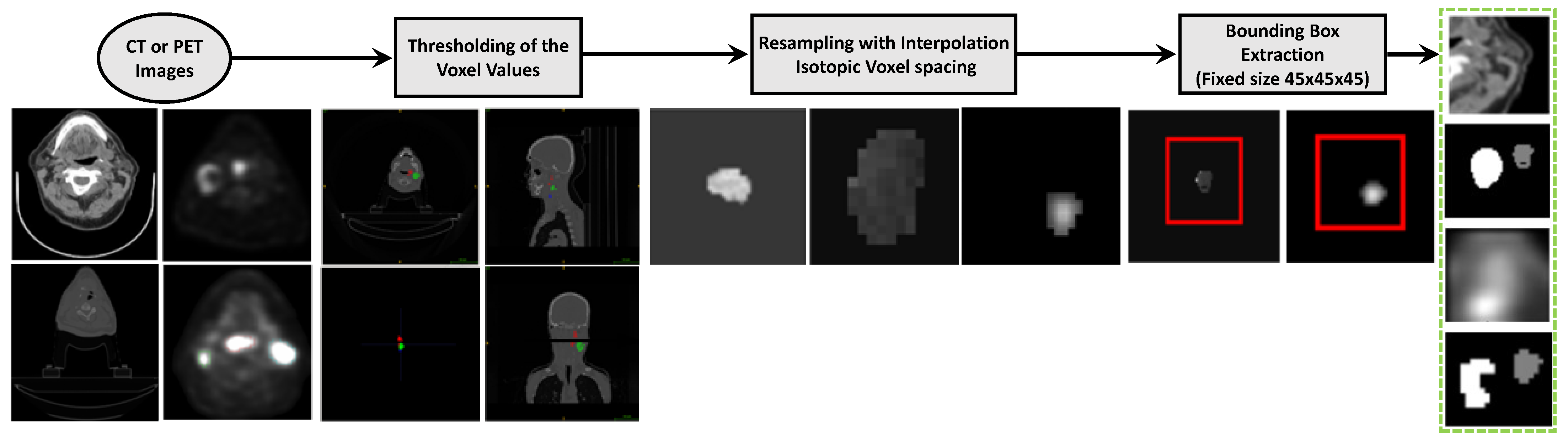 Bioengineering 11 00013 g002