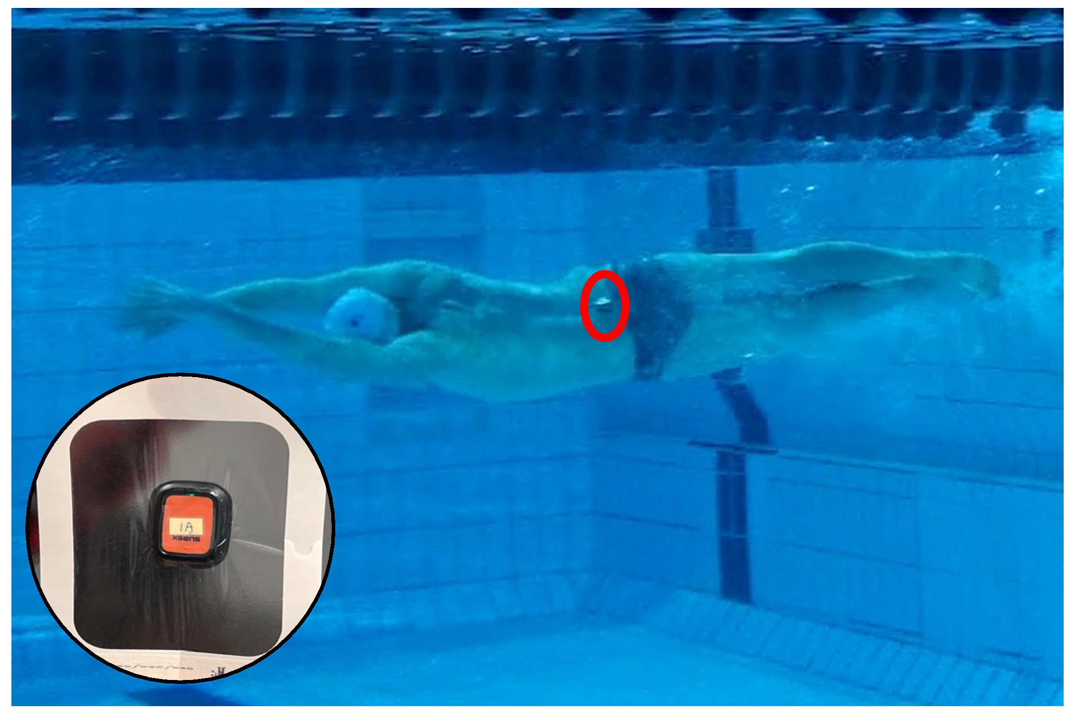 Bioengineering 11 00015 g001 Bioengineering 11 00015 g001