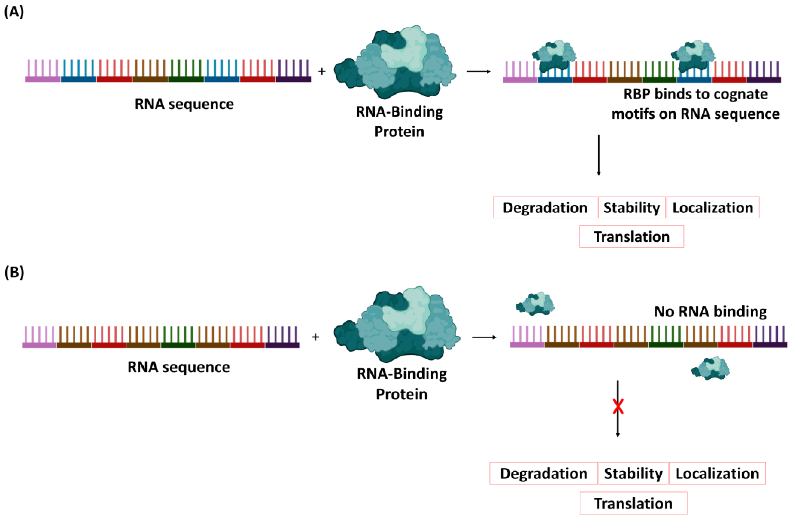 Bioengineering 11 00022 g001