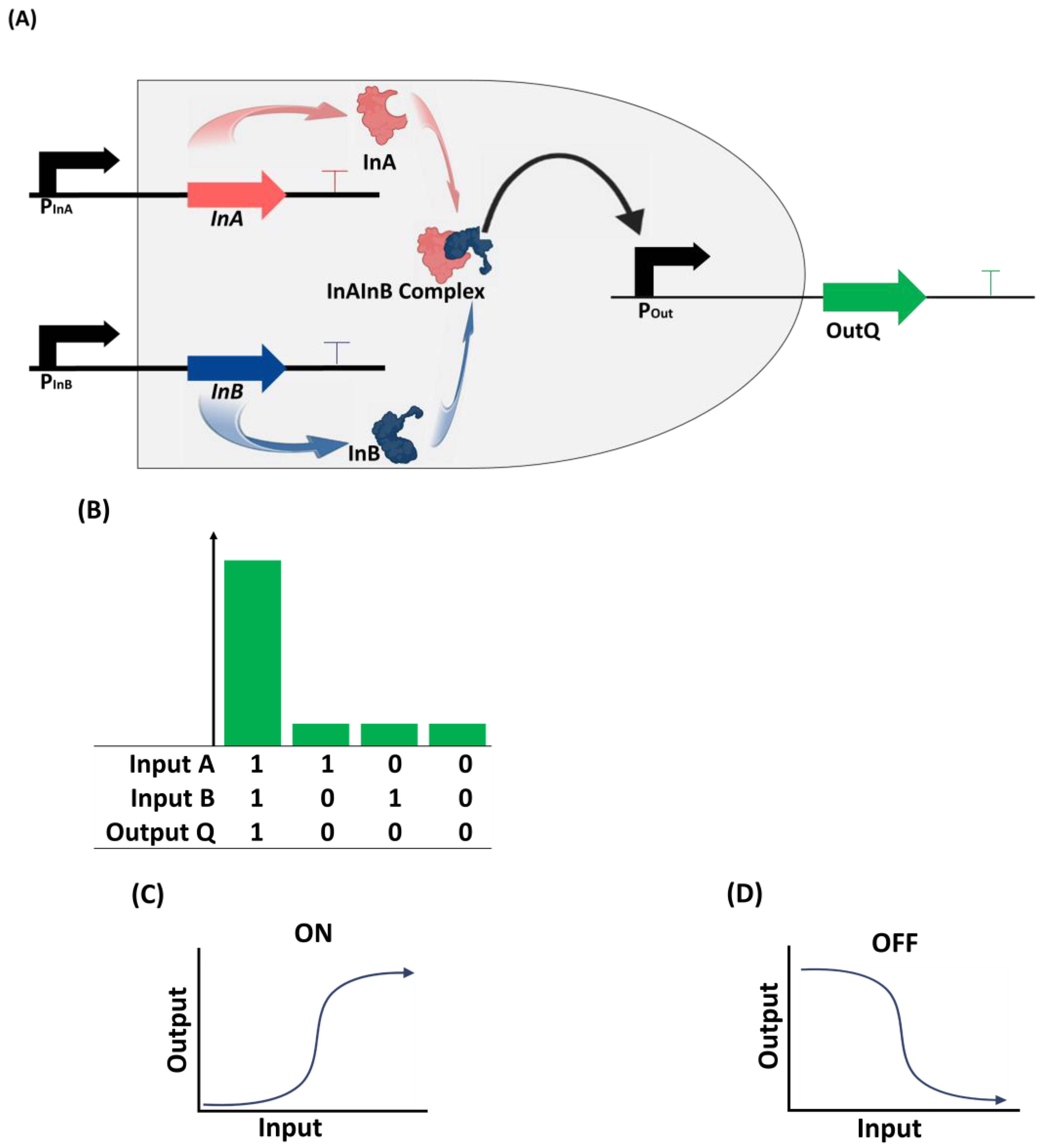 Bioengineering 11 00022 g002