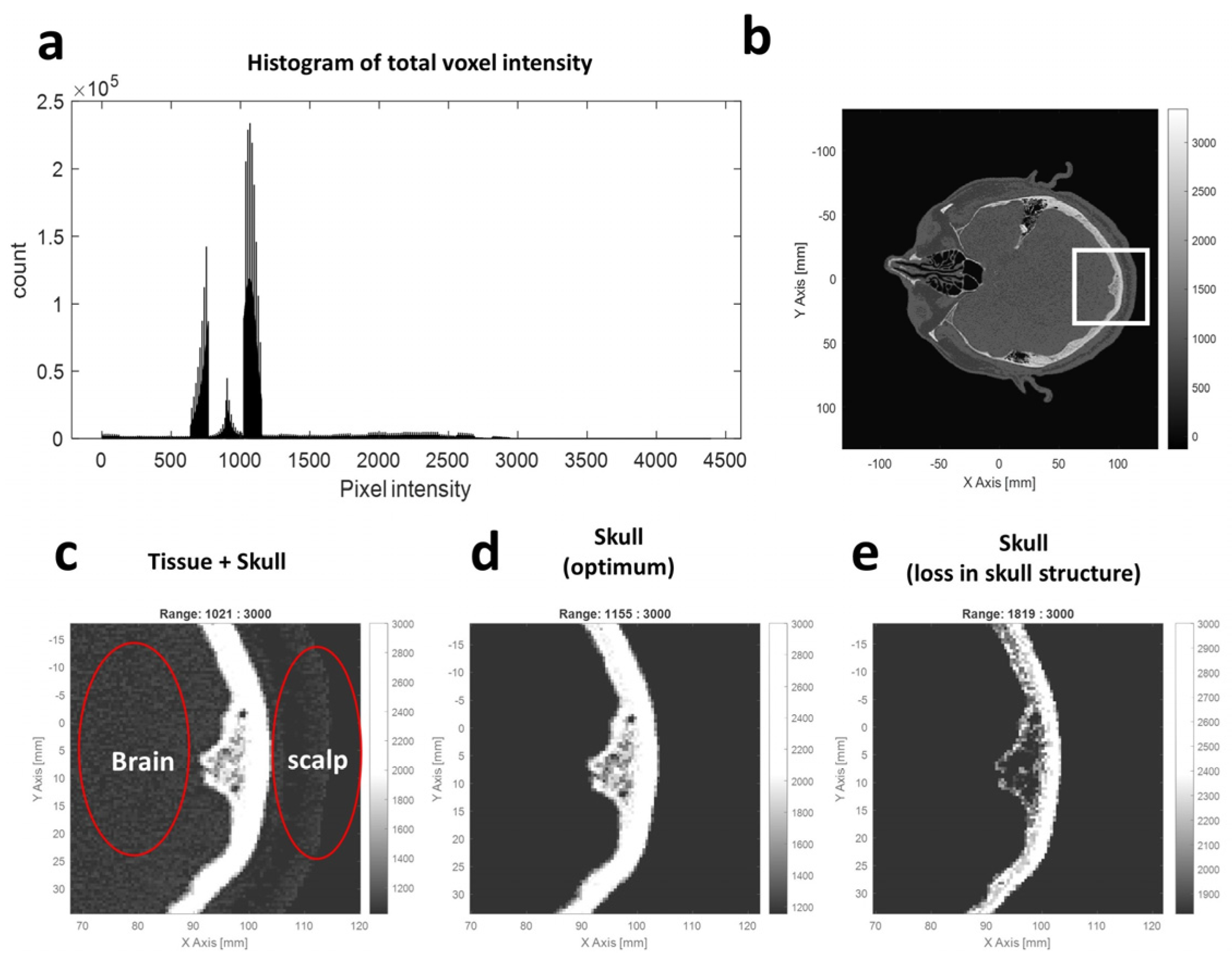Bioengineering 11 00027 g002