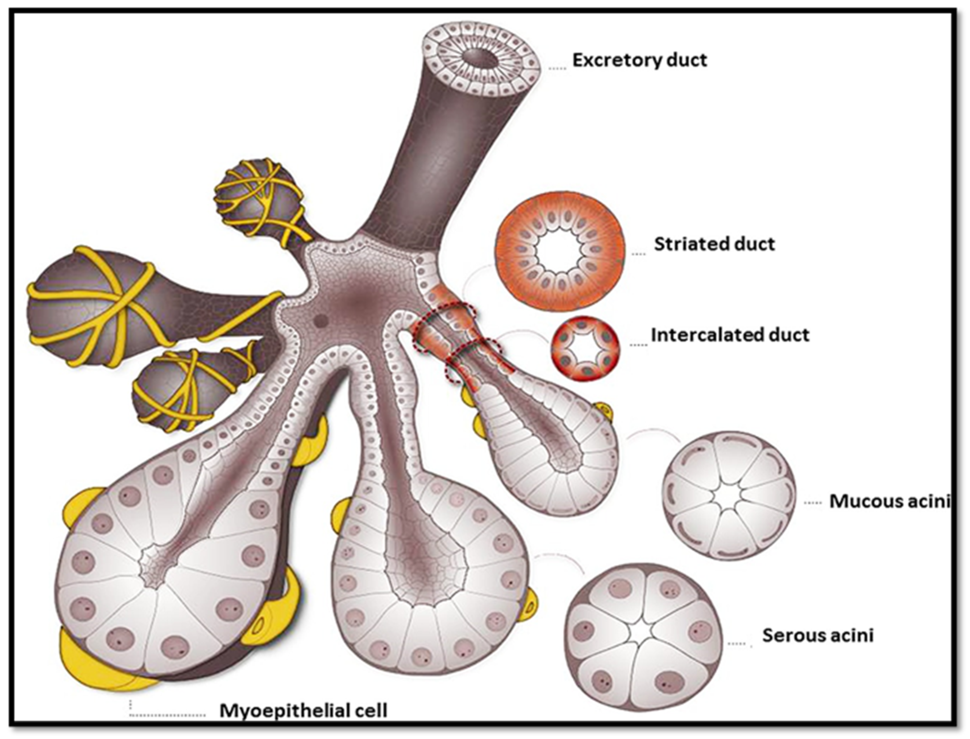 Bioengineering 11 00028 g002 Bioengineering 11 00028 g002