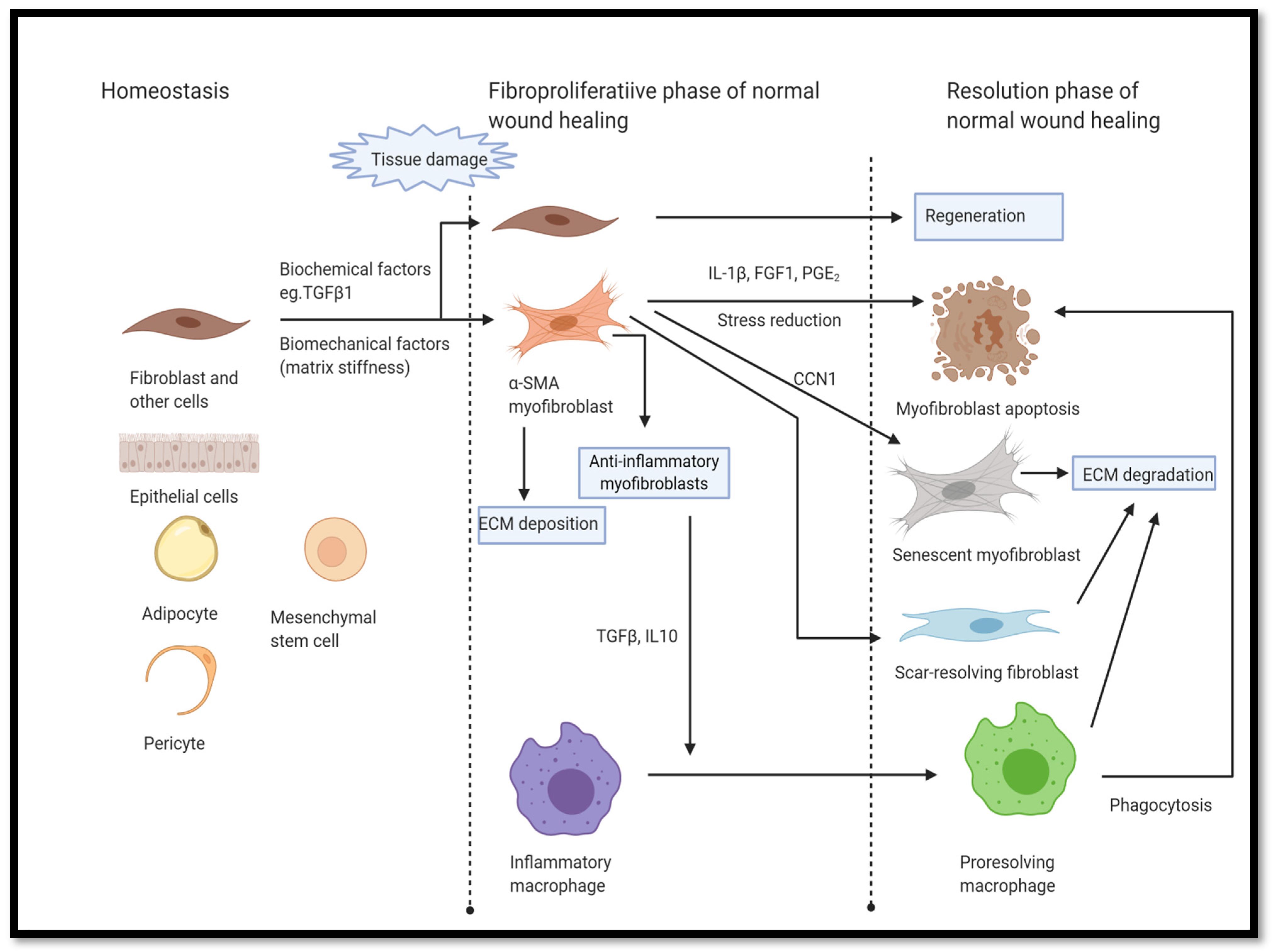 Bioengineering 11 00028 g004 Bioengineering 11 00028 g004