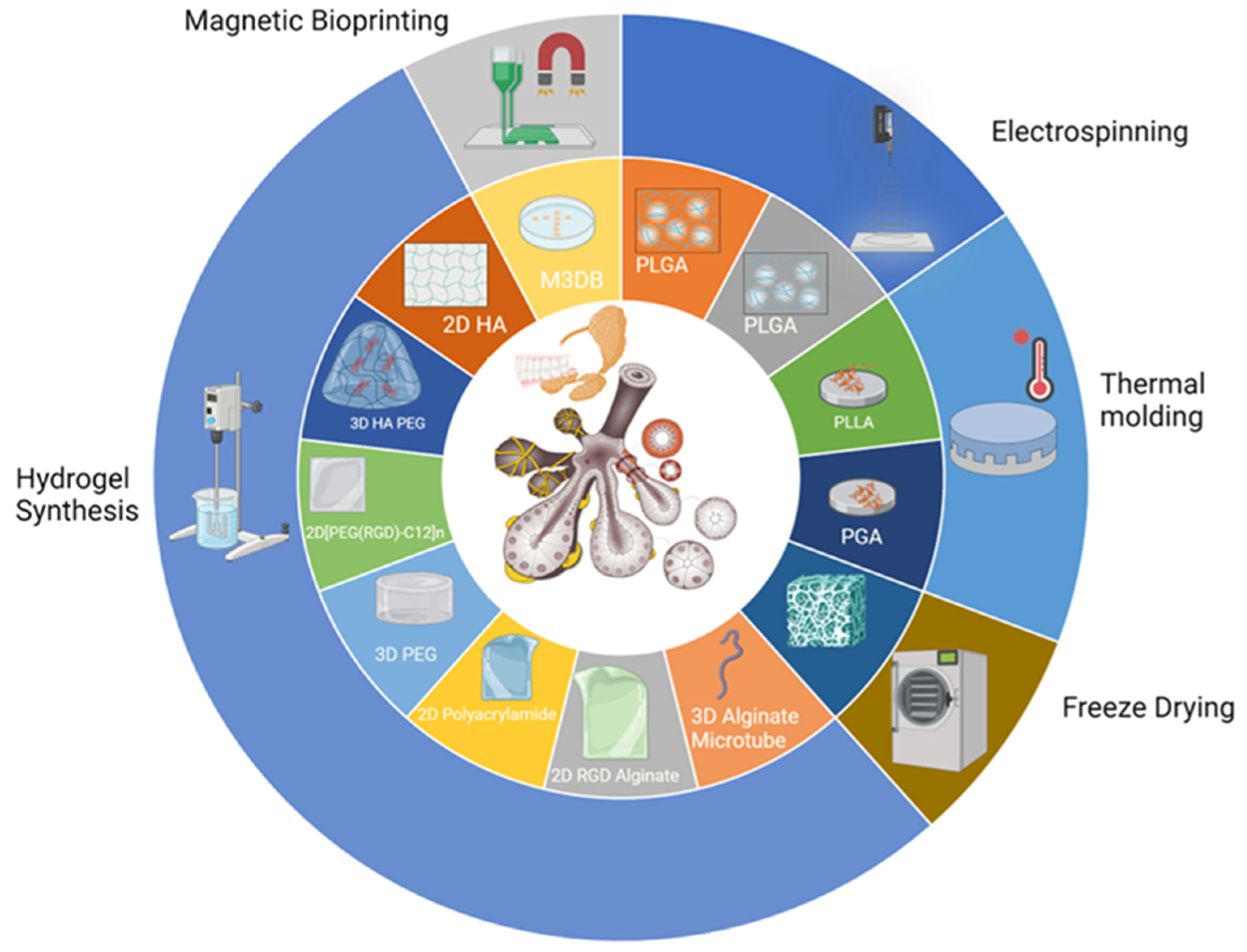 Bioengineering 11 00028 g005 Bioengineering 11 00028 g005