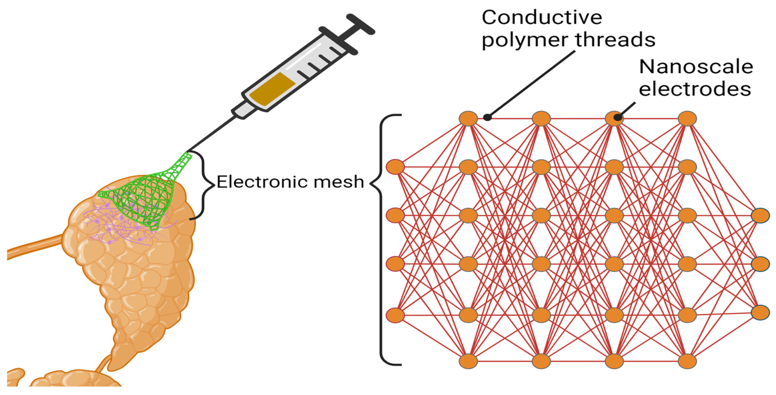 Bioengineering 11 00028 g009 Bioengineering 11 00028 g009