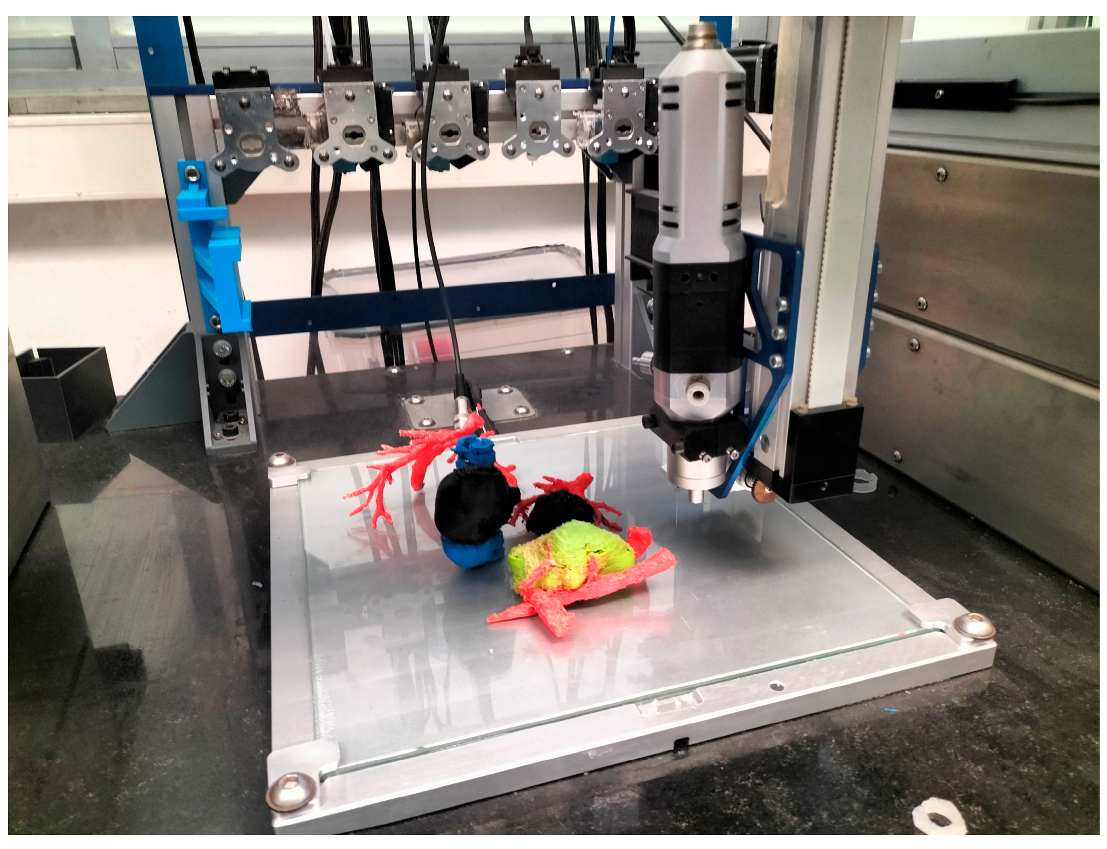 Bioengineering 11 00031 g001 Bioengineering 11 00031 g001