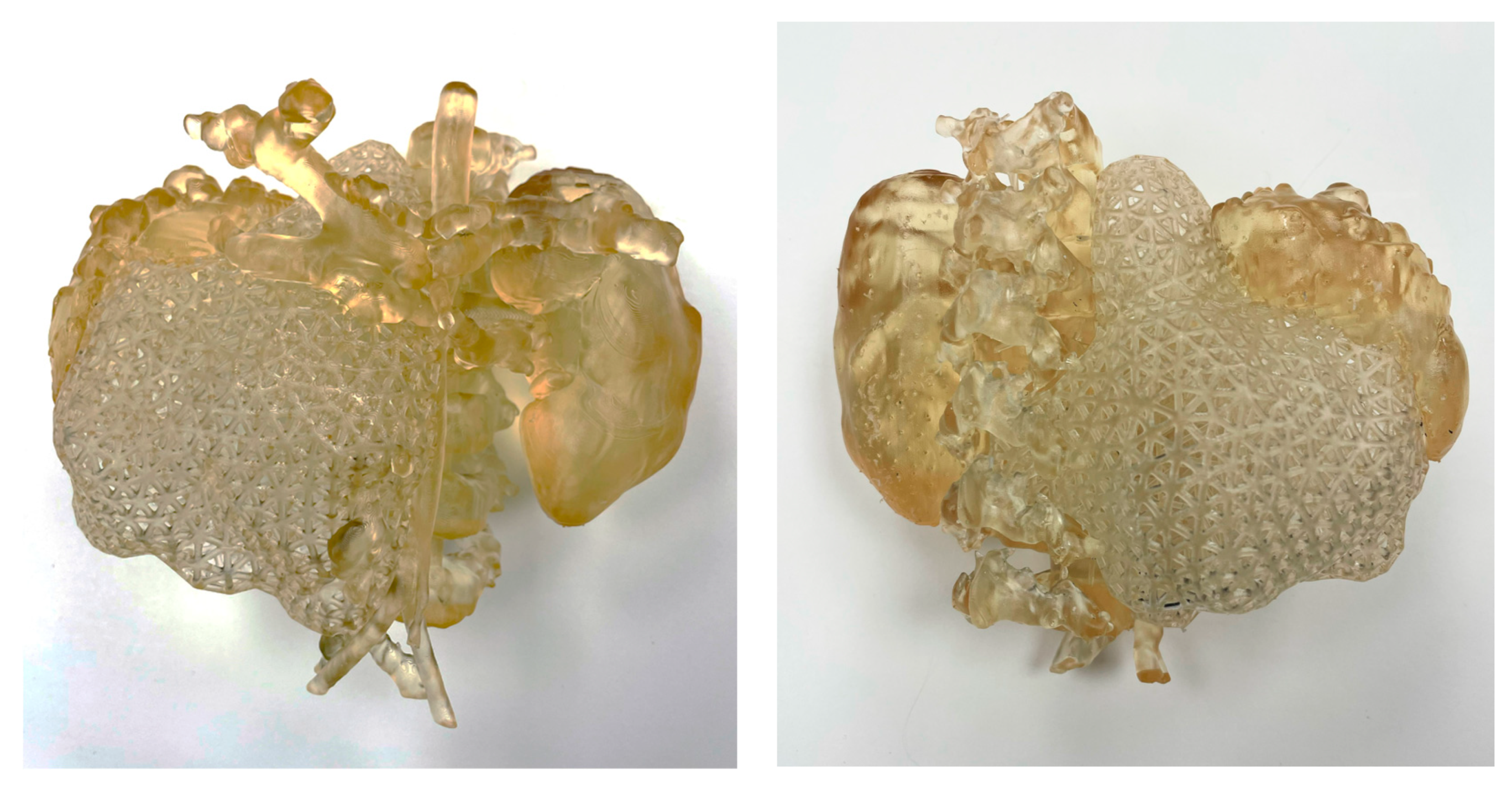 Bioengineering 11 00031 g004 Bioengineering 11 00031 g004