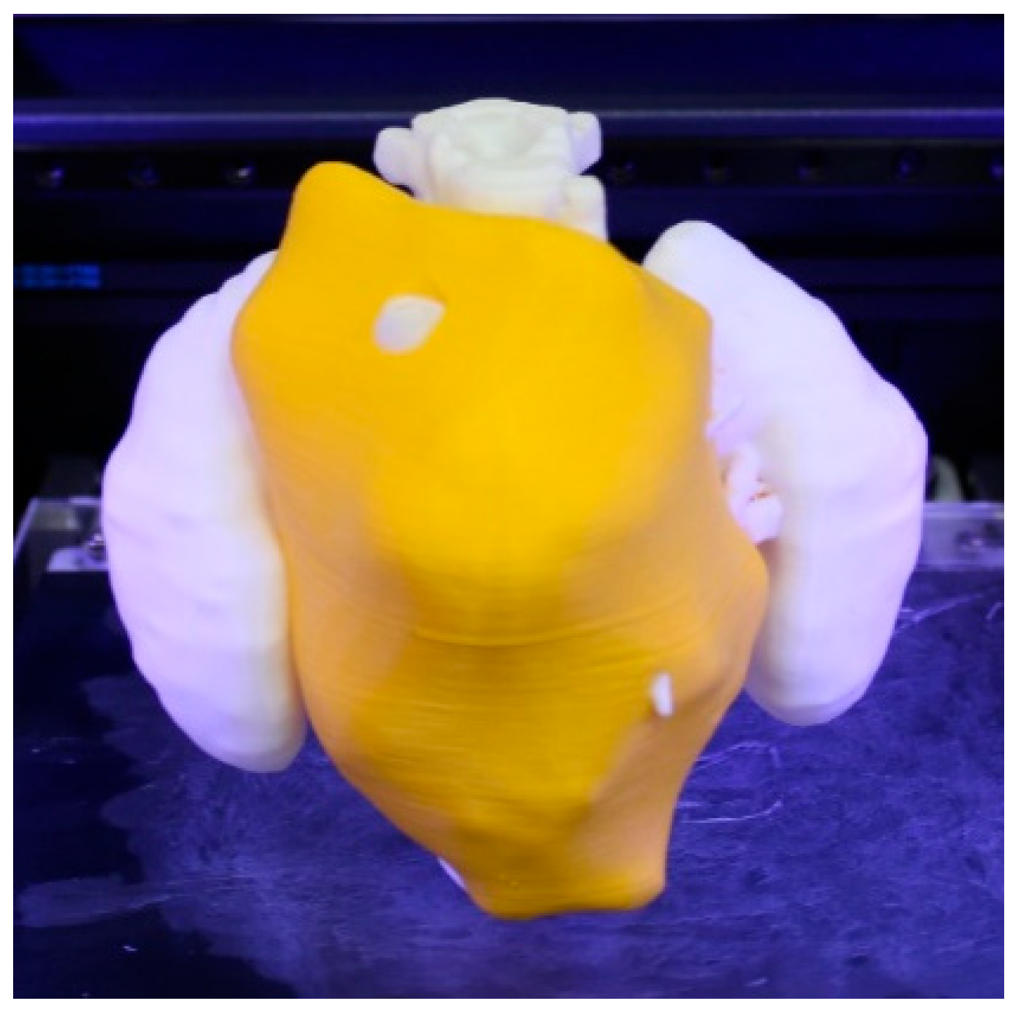 Bioengineering 11 00031 g005 Bioengineering 11 00031 g005