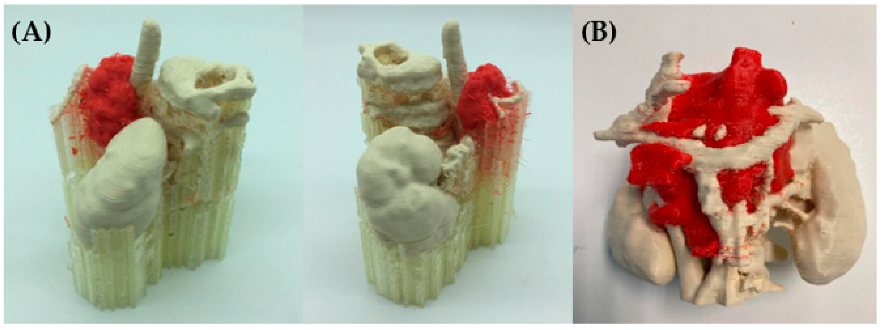 Bioengineering 11 00031 g006 Bioengineering 11 00031 g006