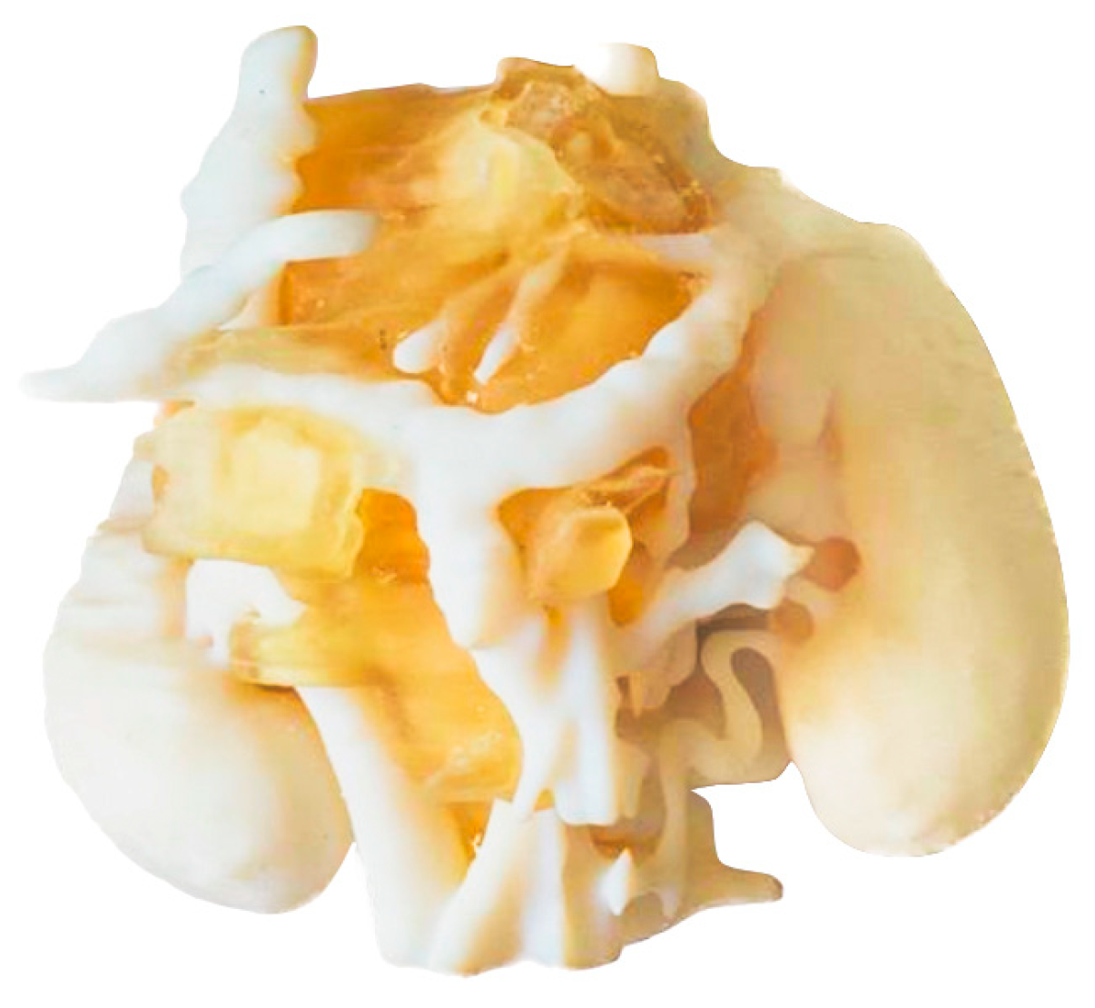 Bioengineering 11 00031 g010 Bioengineering 11 00031 g010