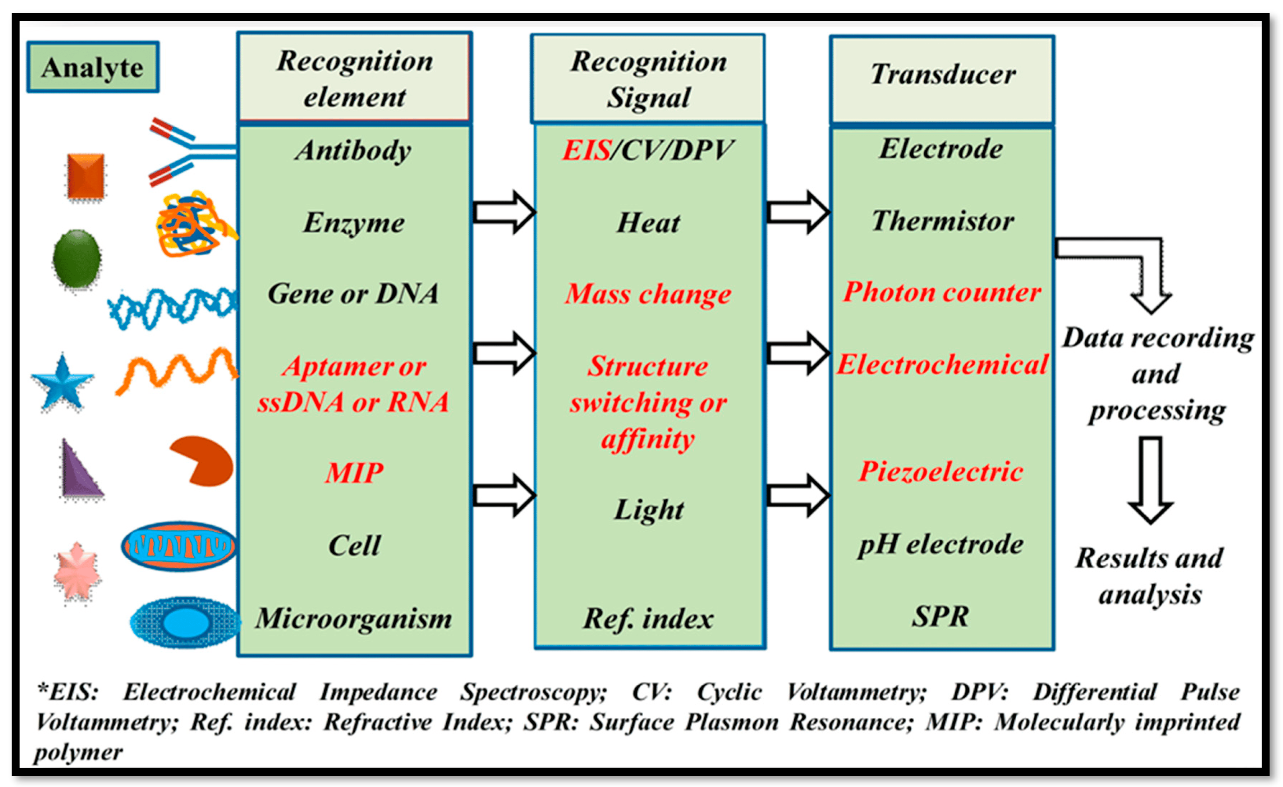 Bioengineering 11 00032 g002 Bioengineering 11 00032 g002