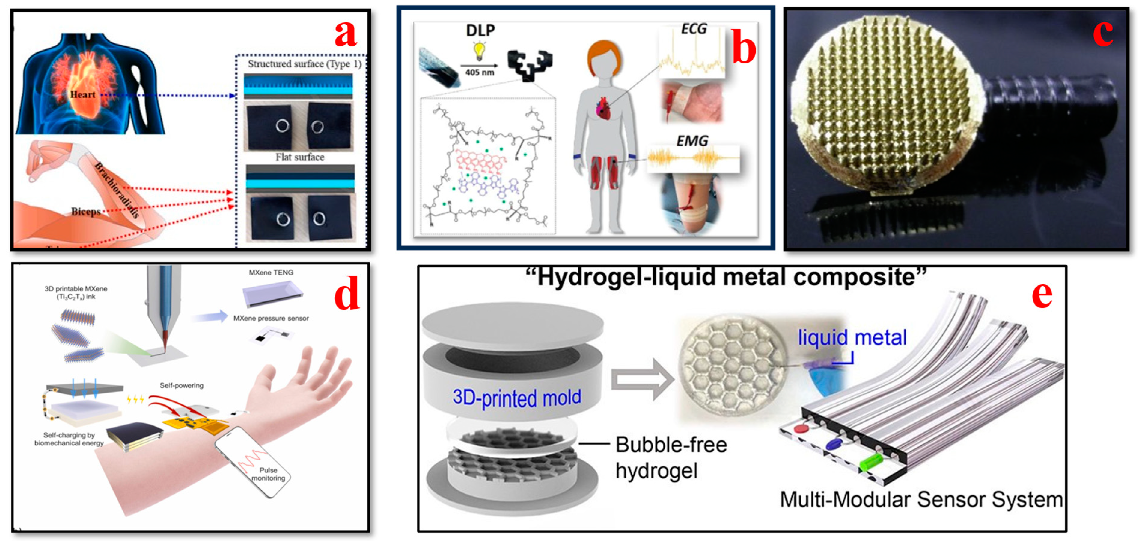 Bioengineering 11 00032 g005 Bioengineering 11 00032 g005