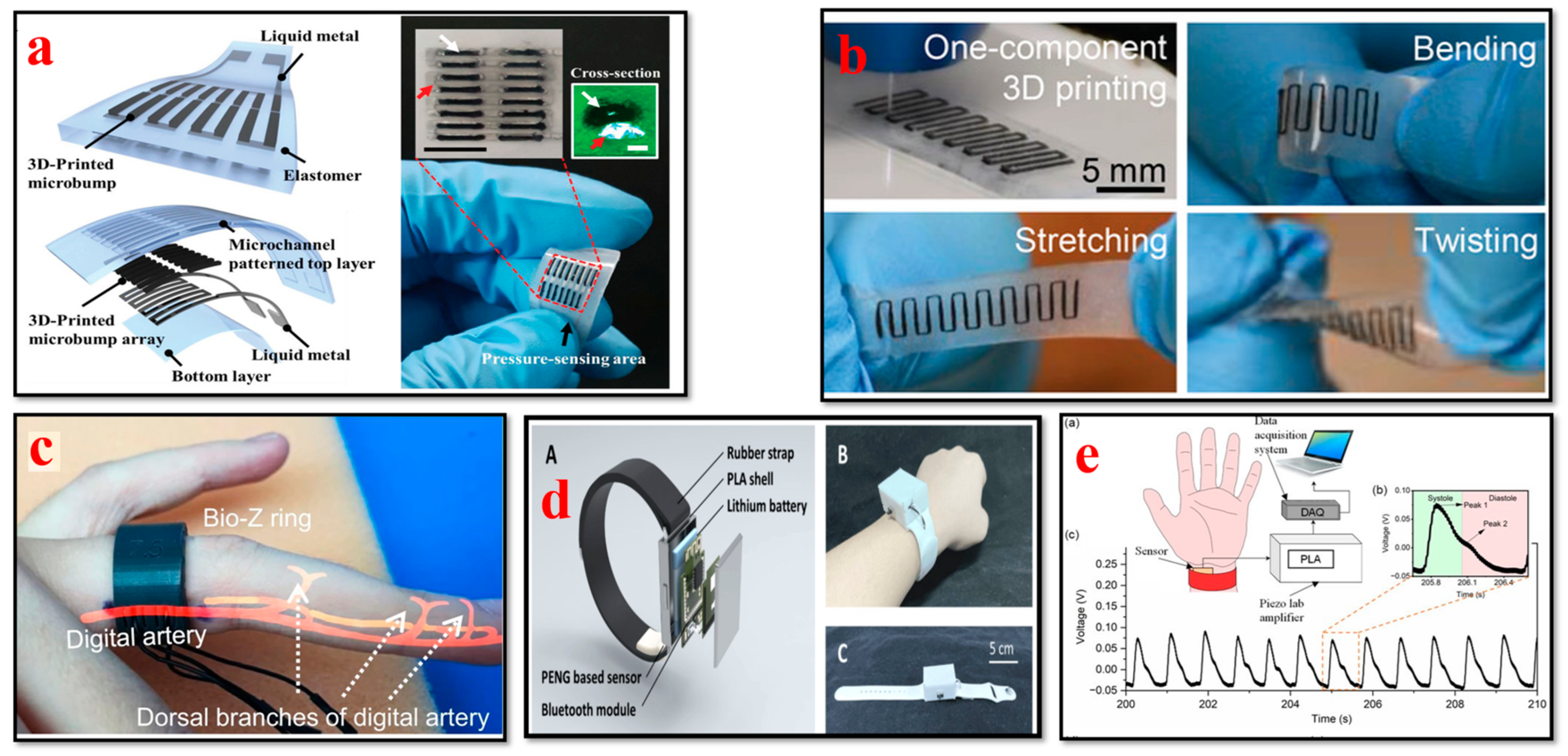 Bioengineering 11 00032 g007 Bioengineering 11 00032 g007
