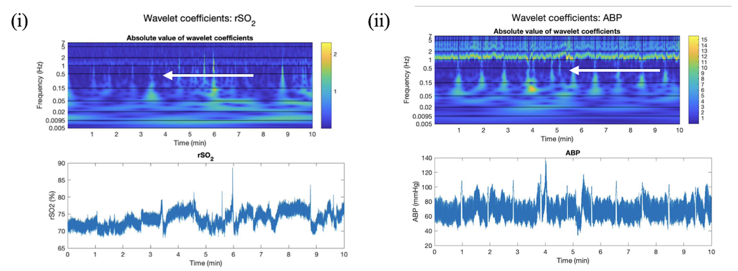 Bioengineering 11 00033 g001