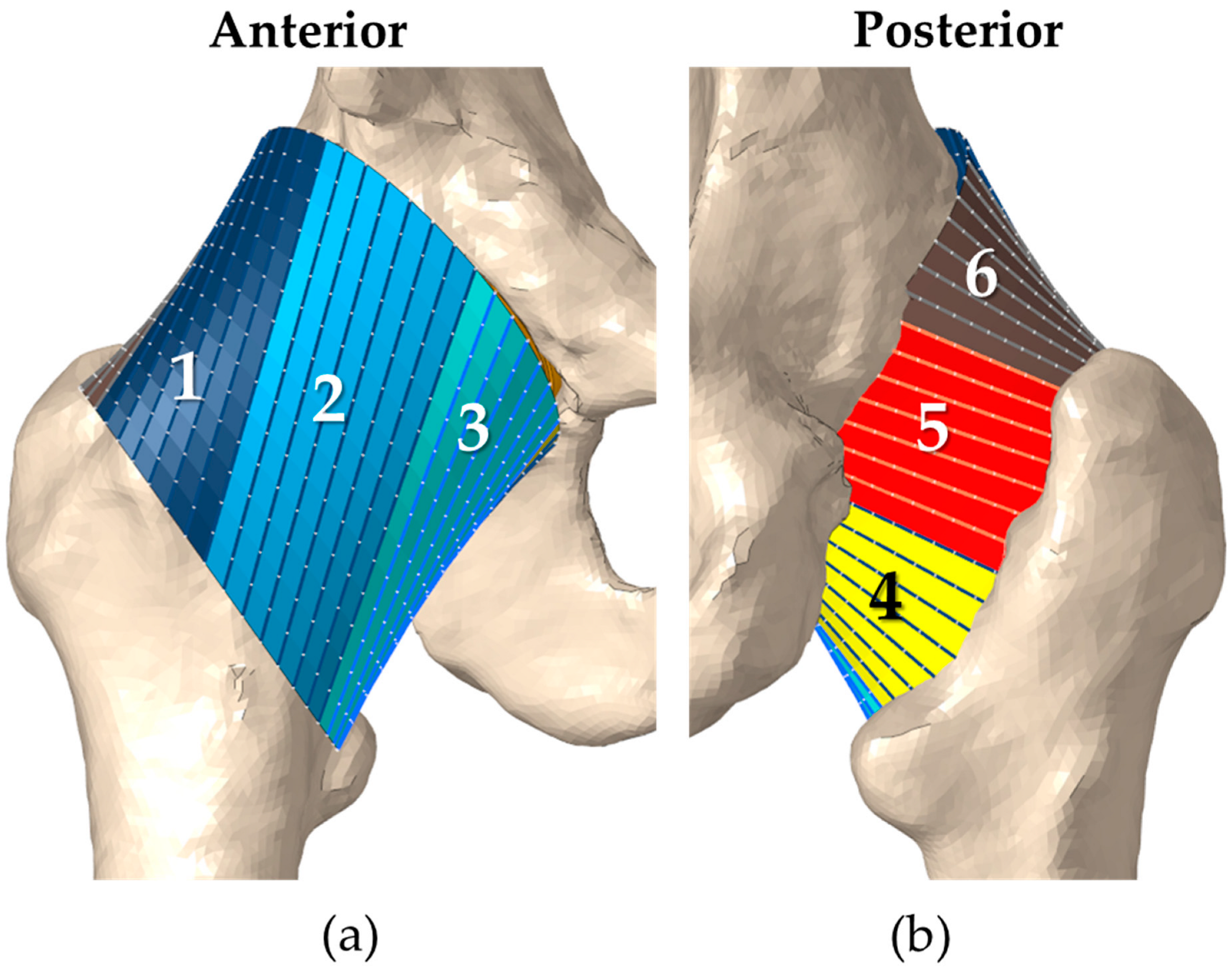 Bioengineering 11 00037 g001