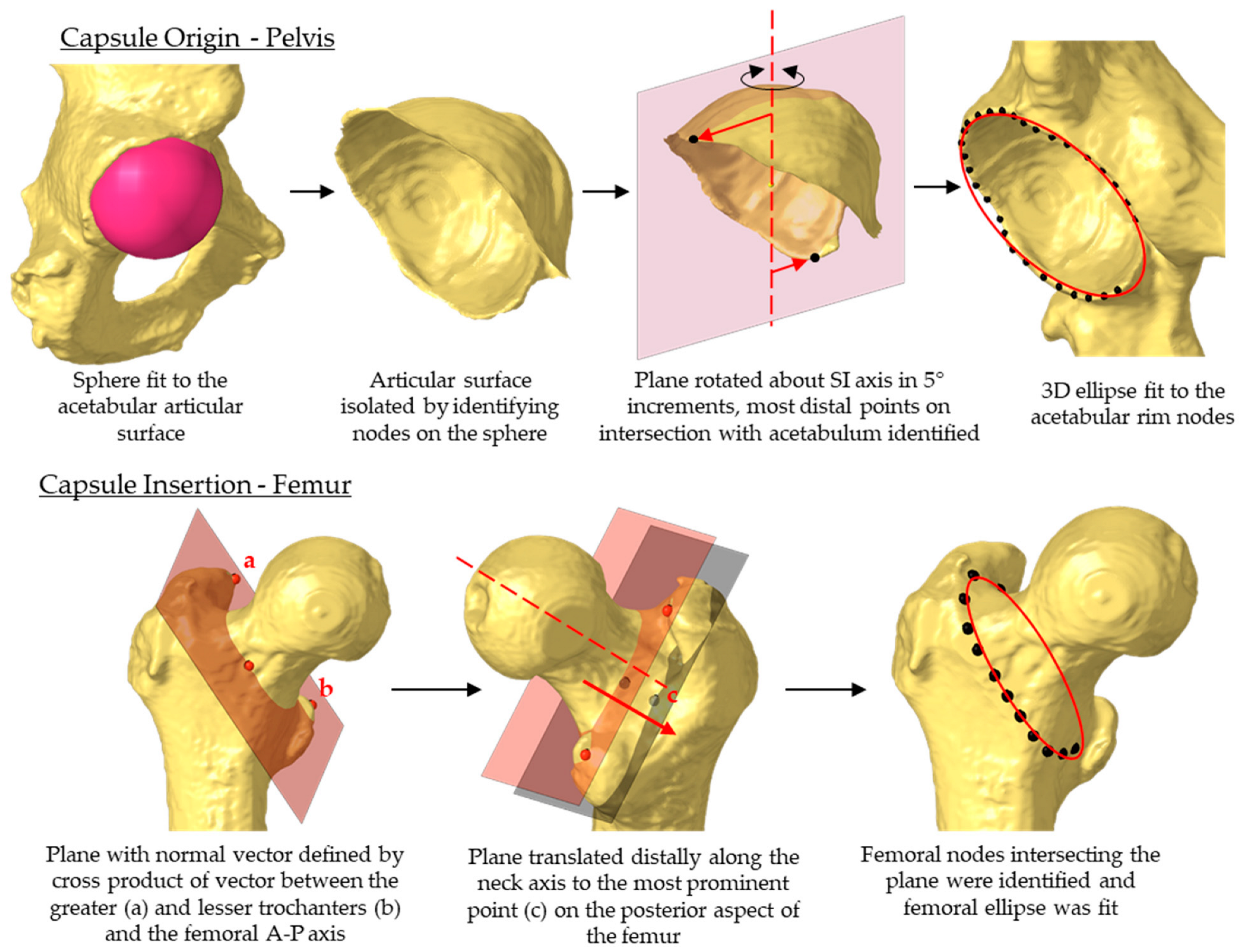 Bioengineering 11 00037 g003