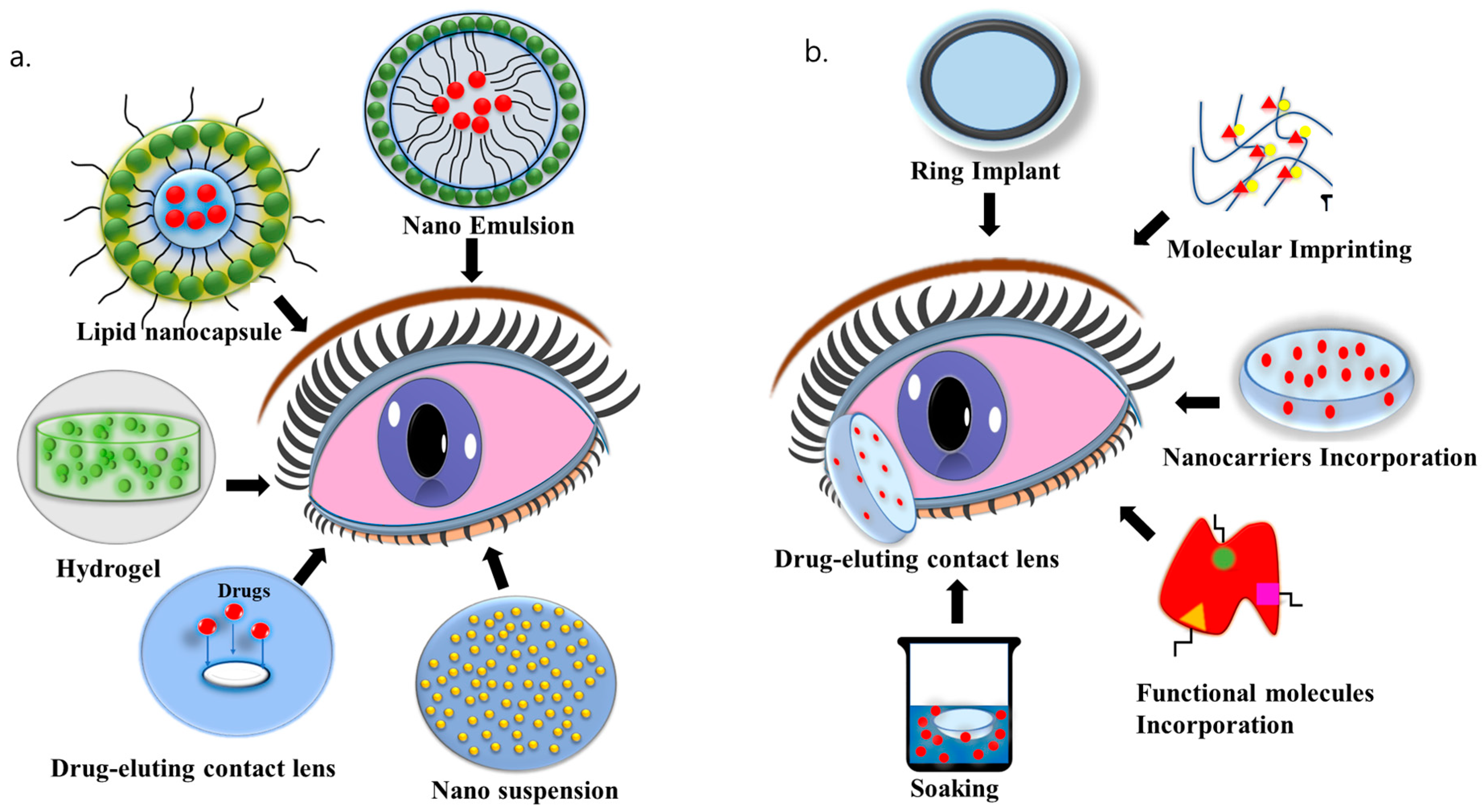 Bioengineering 11 00039 g004