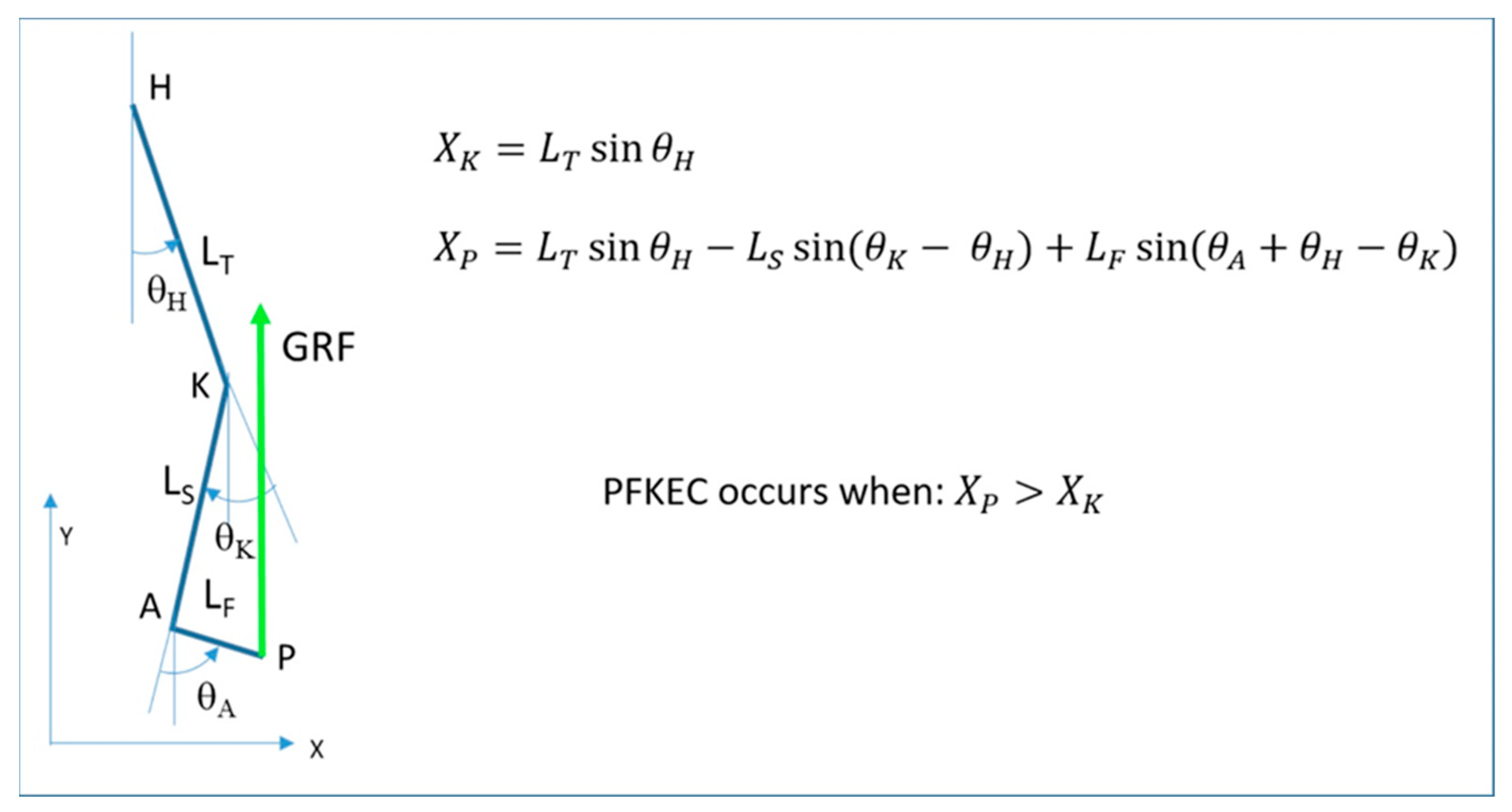 Bioengineering 11 00041 g005