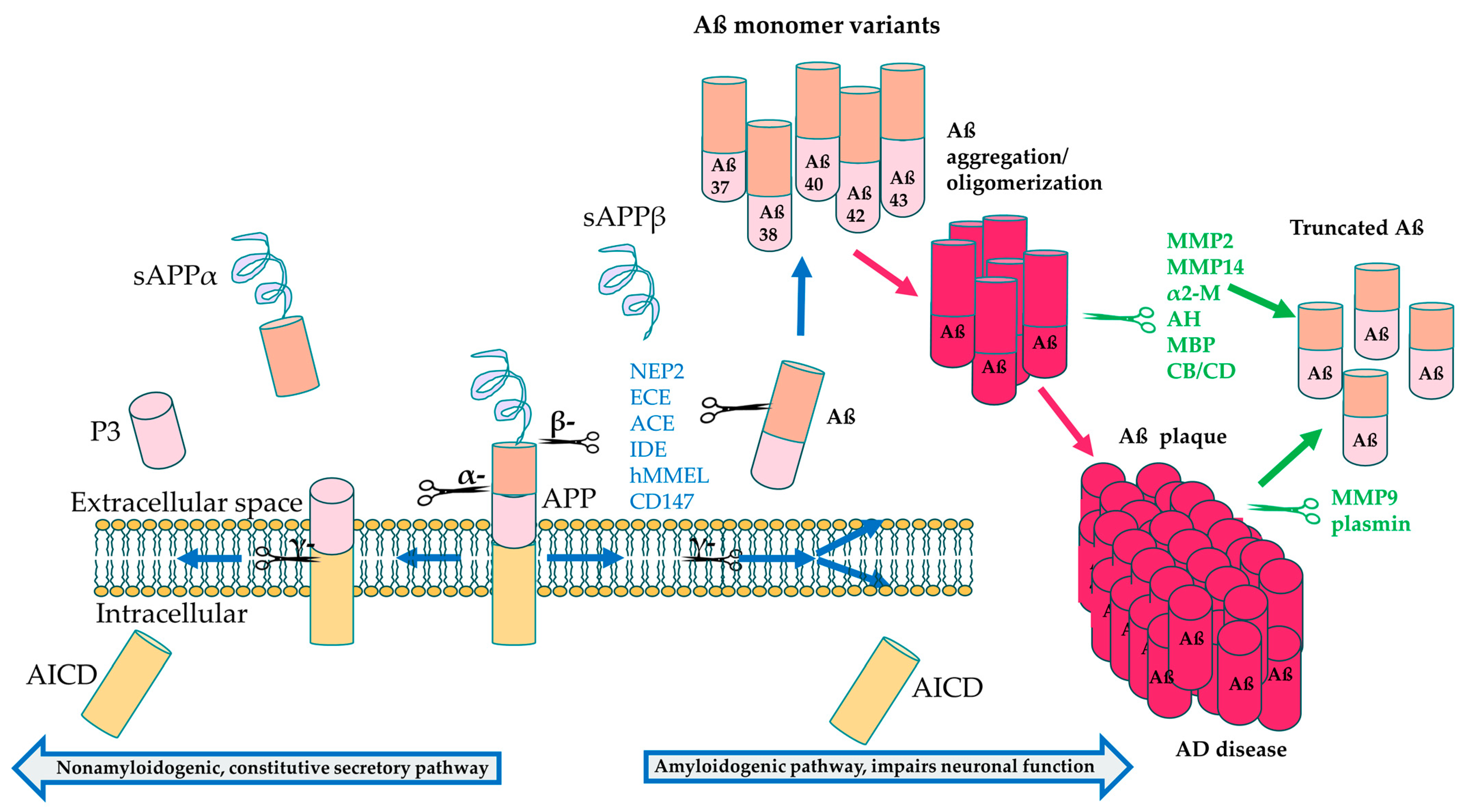 Bioengineering 11 00045 g003 Bioengineering 11 00045 g003