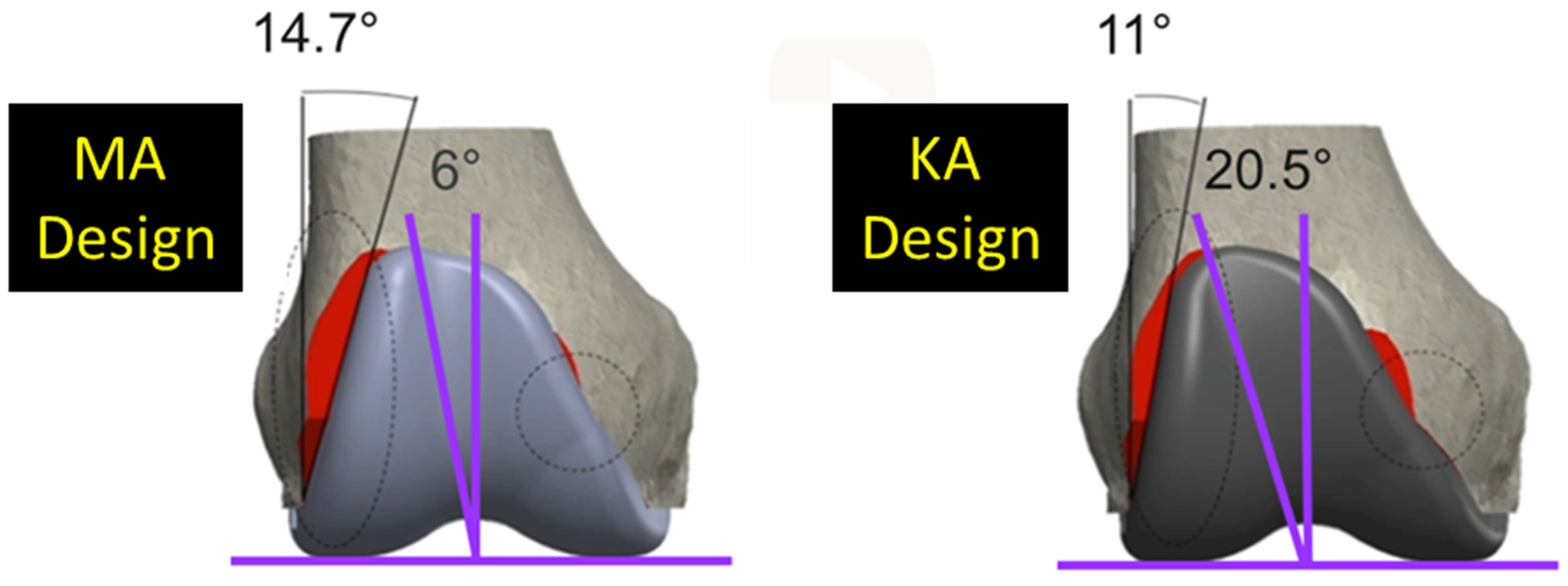 Bioengineering 11 00062 g001