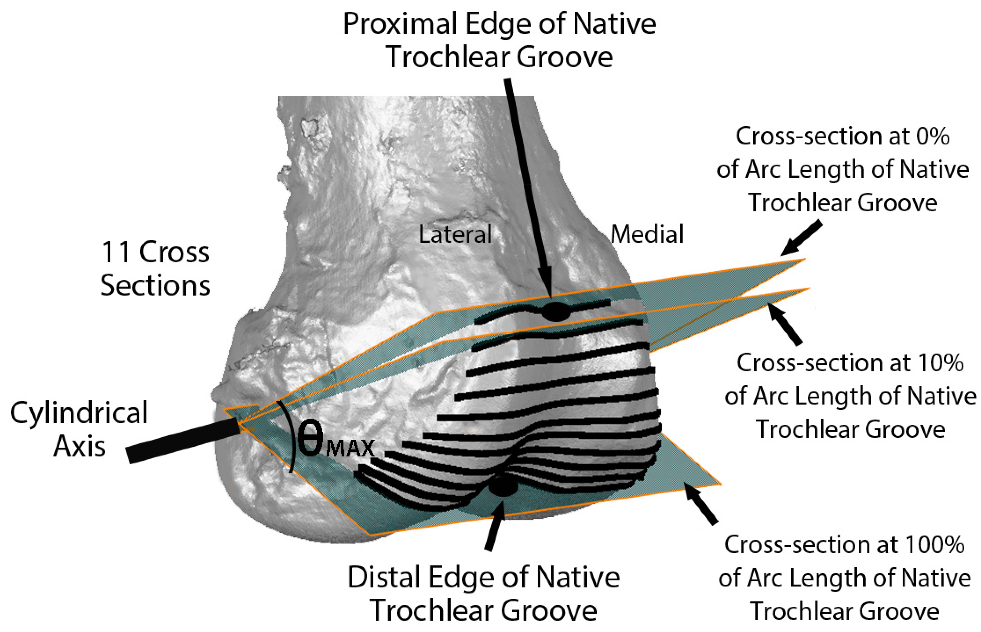 Bioengineering 11 00062 g003