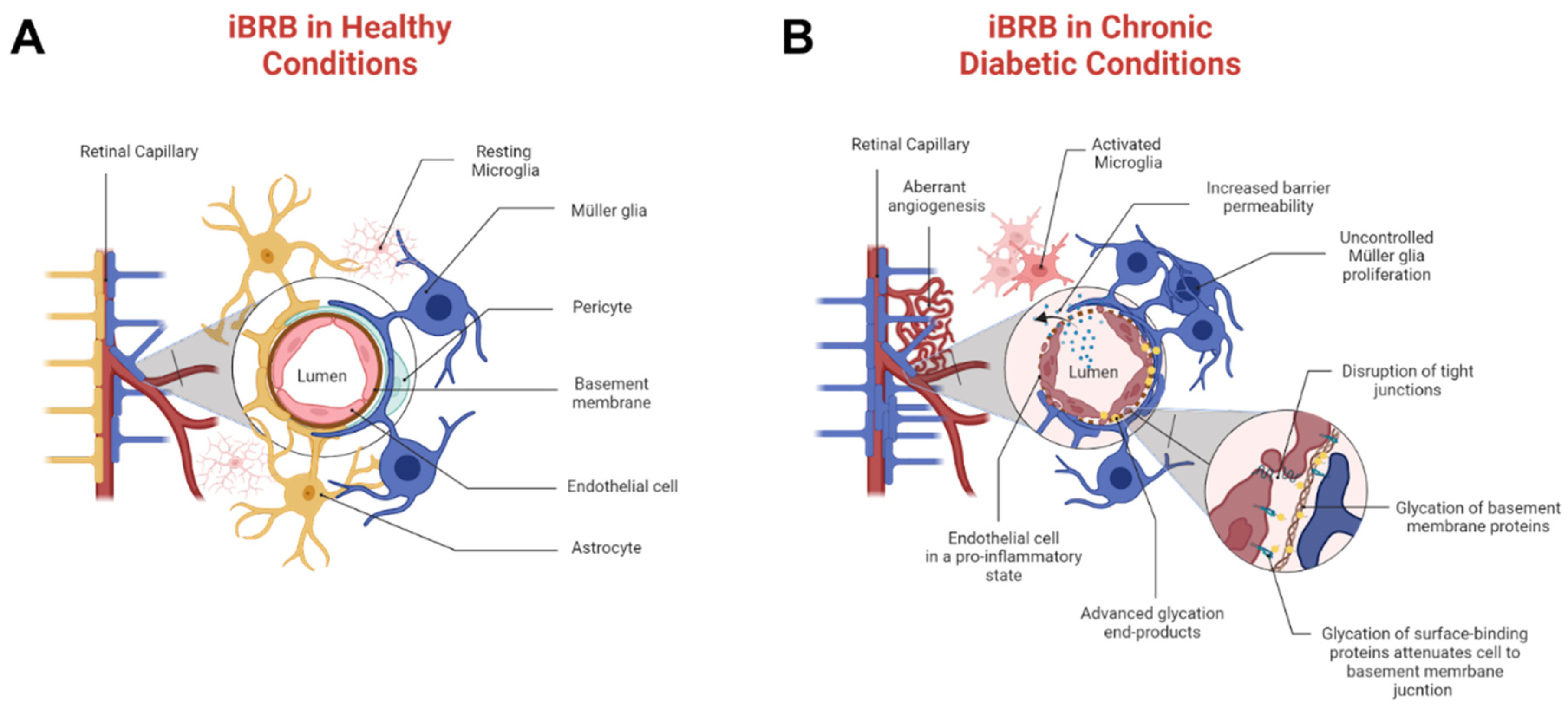 Bioengineering 11 00063 g001