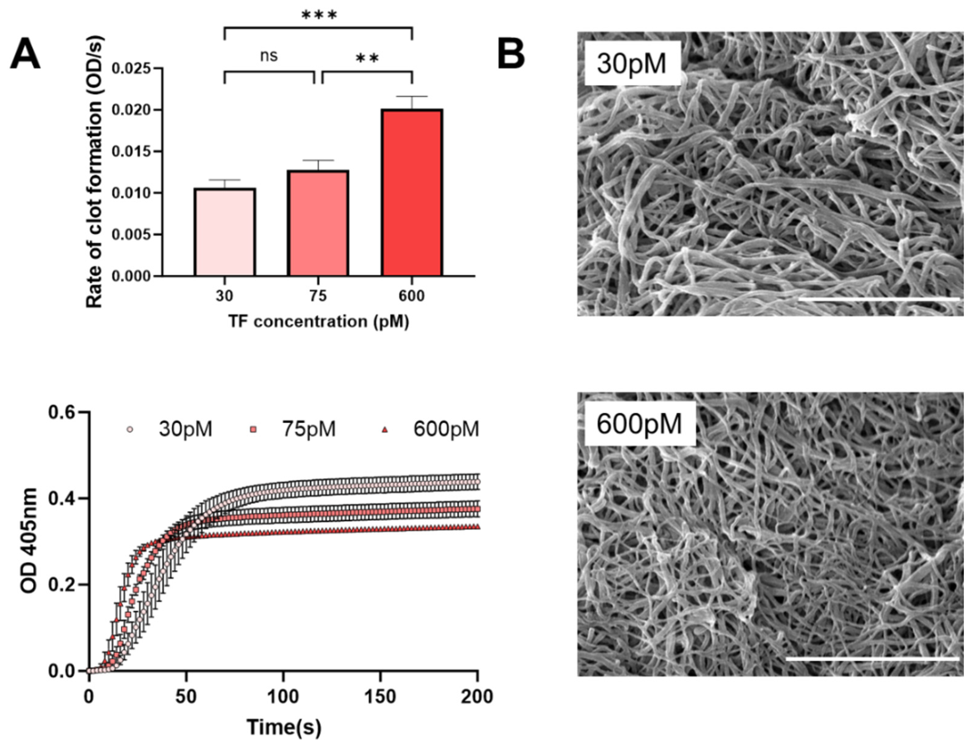 Bioengineering 11 00063 g003