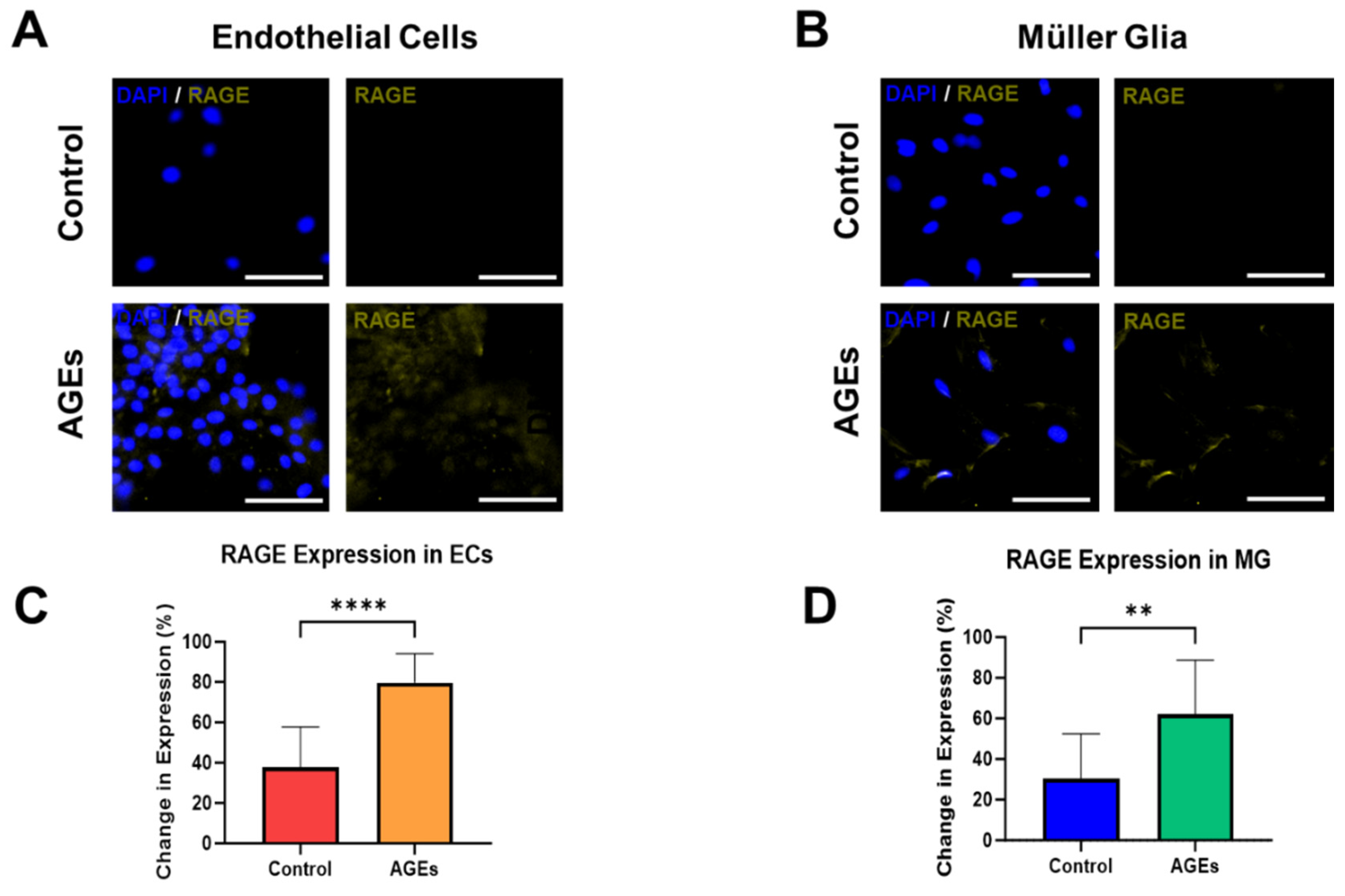 Bioengineering 11 00063 g004