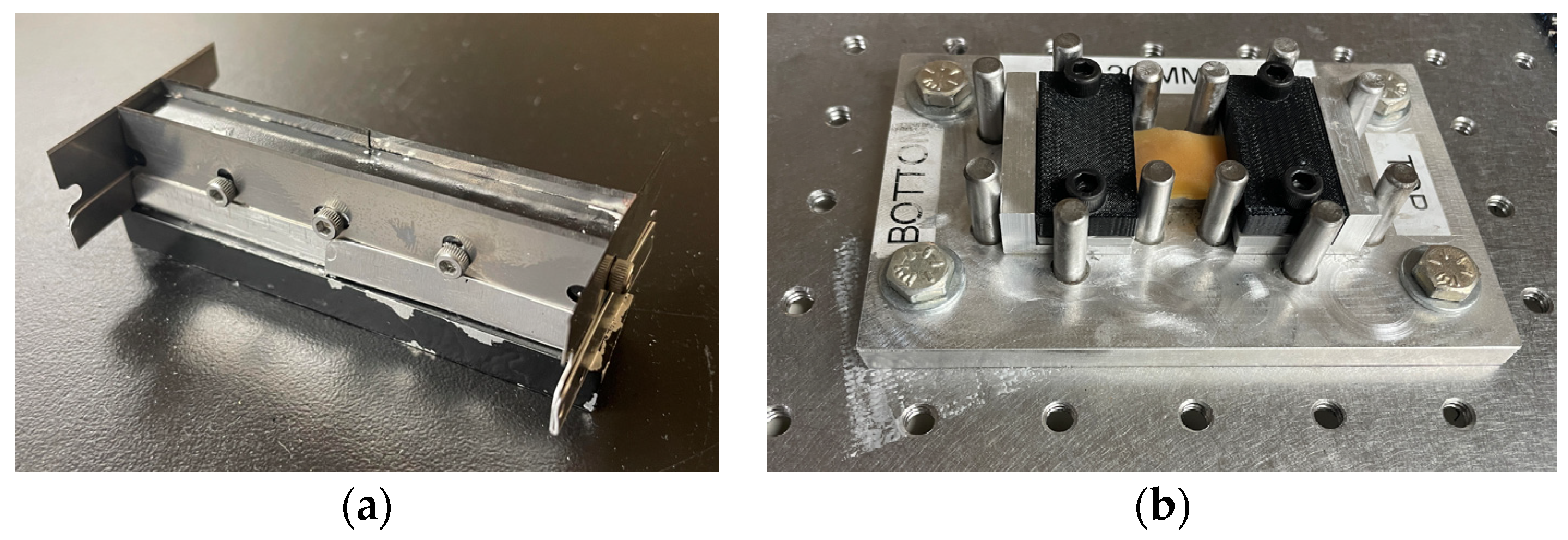 Bioengineering 11 00064 g002