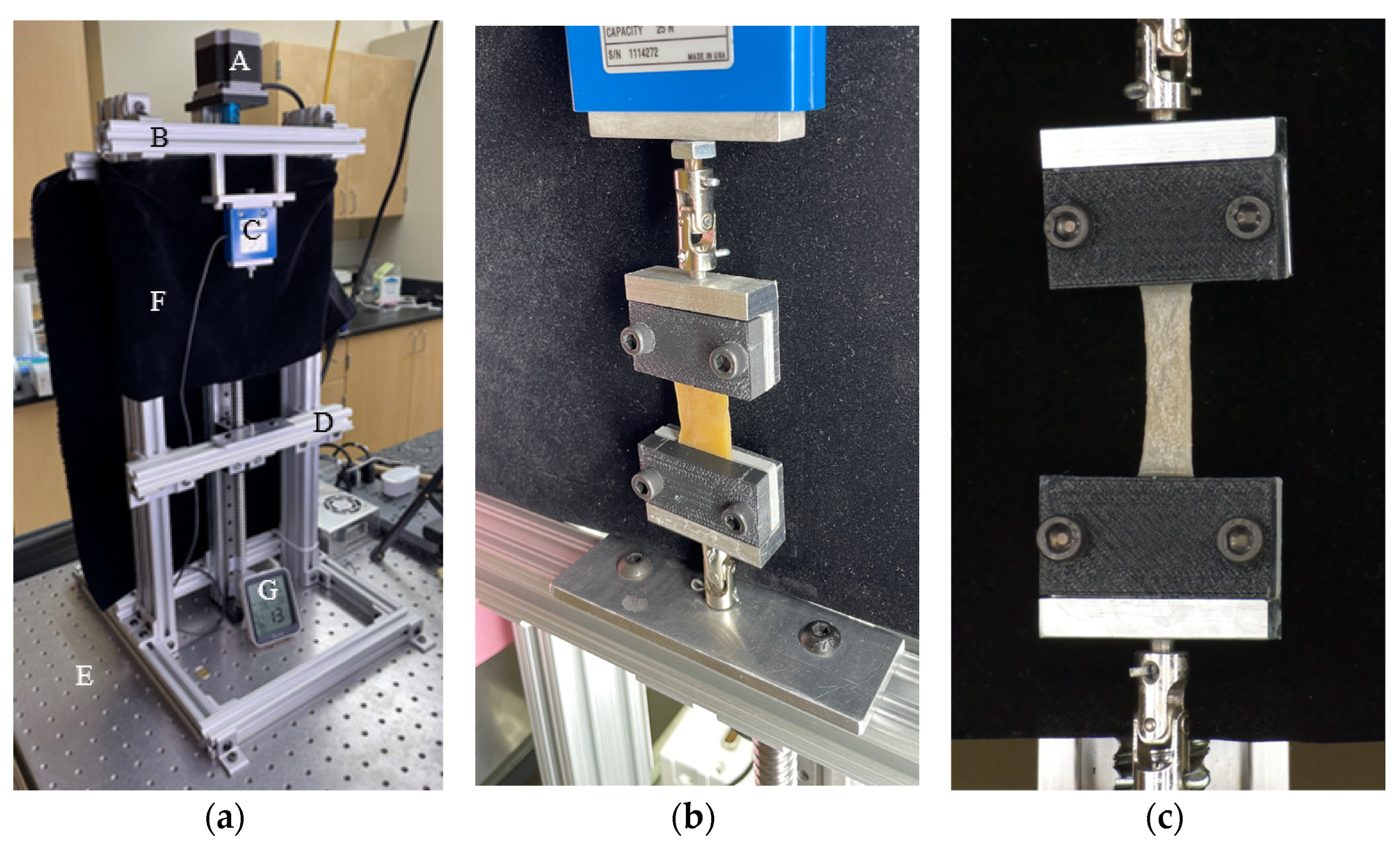 Bioengineering 11 00064 g003