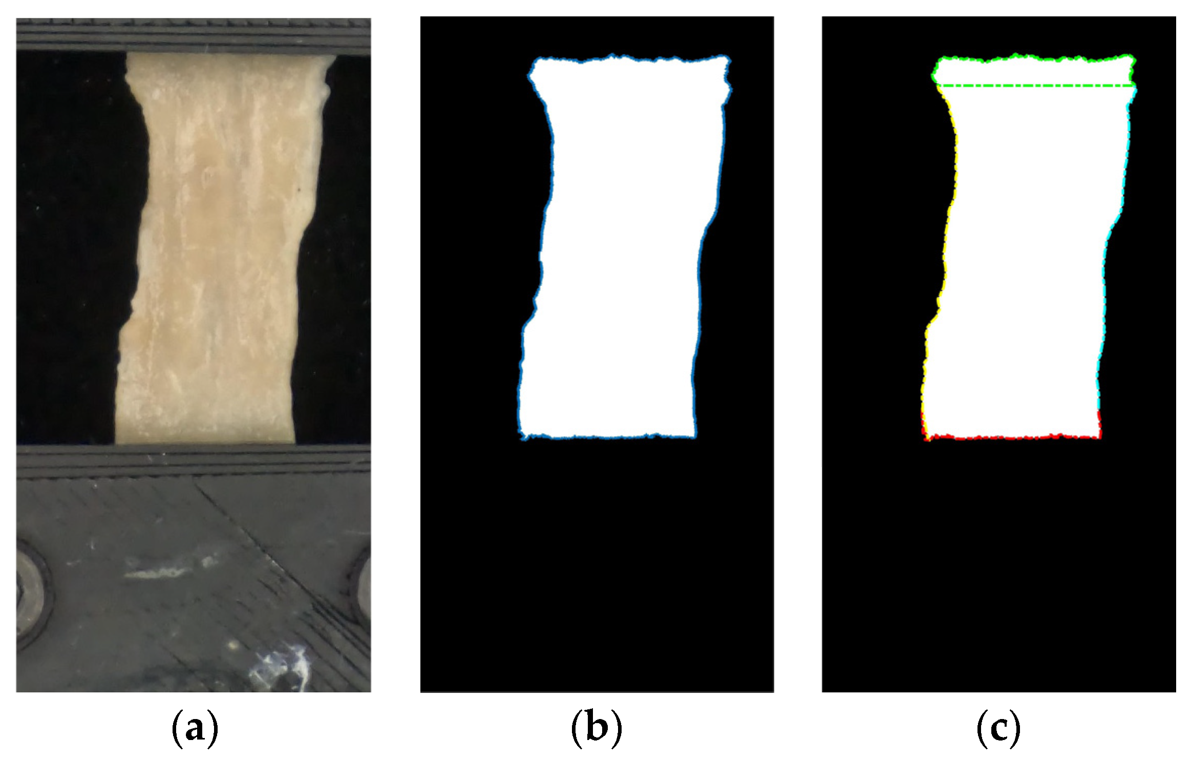 Bioengineering 11 00064 g005