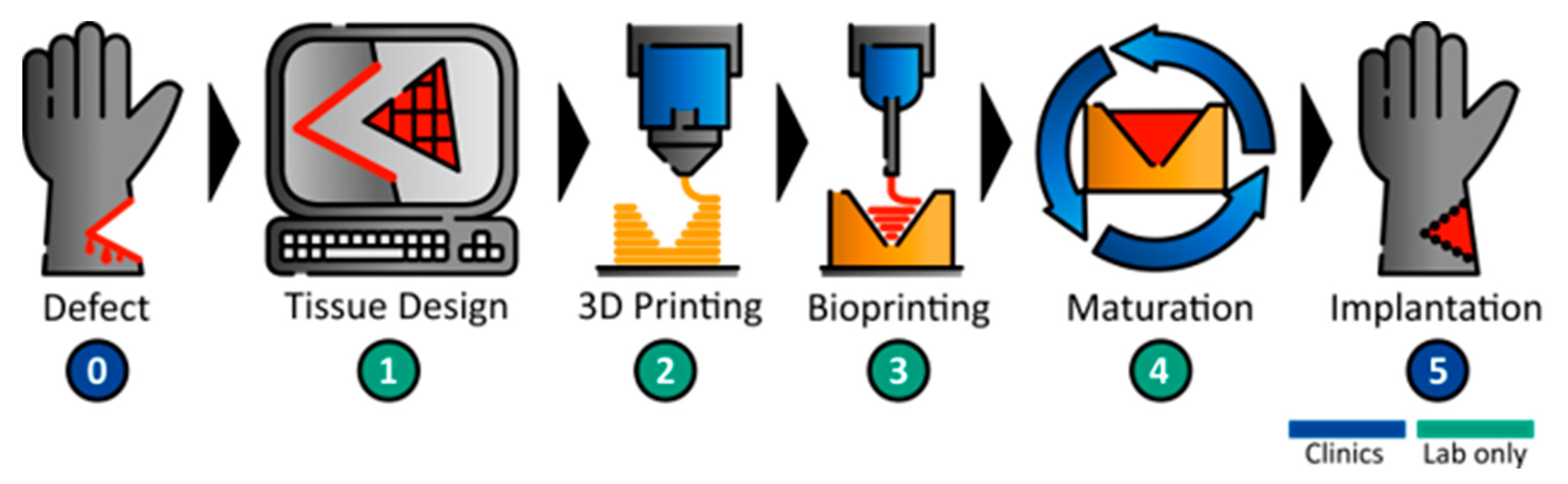 Bioengineering 11 00068 g001