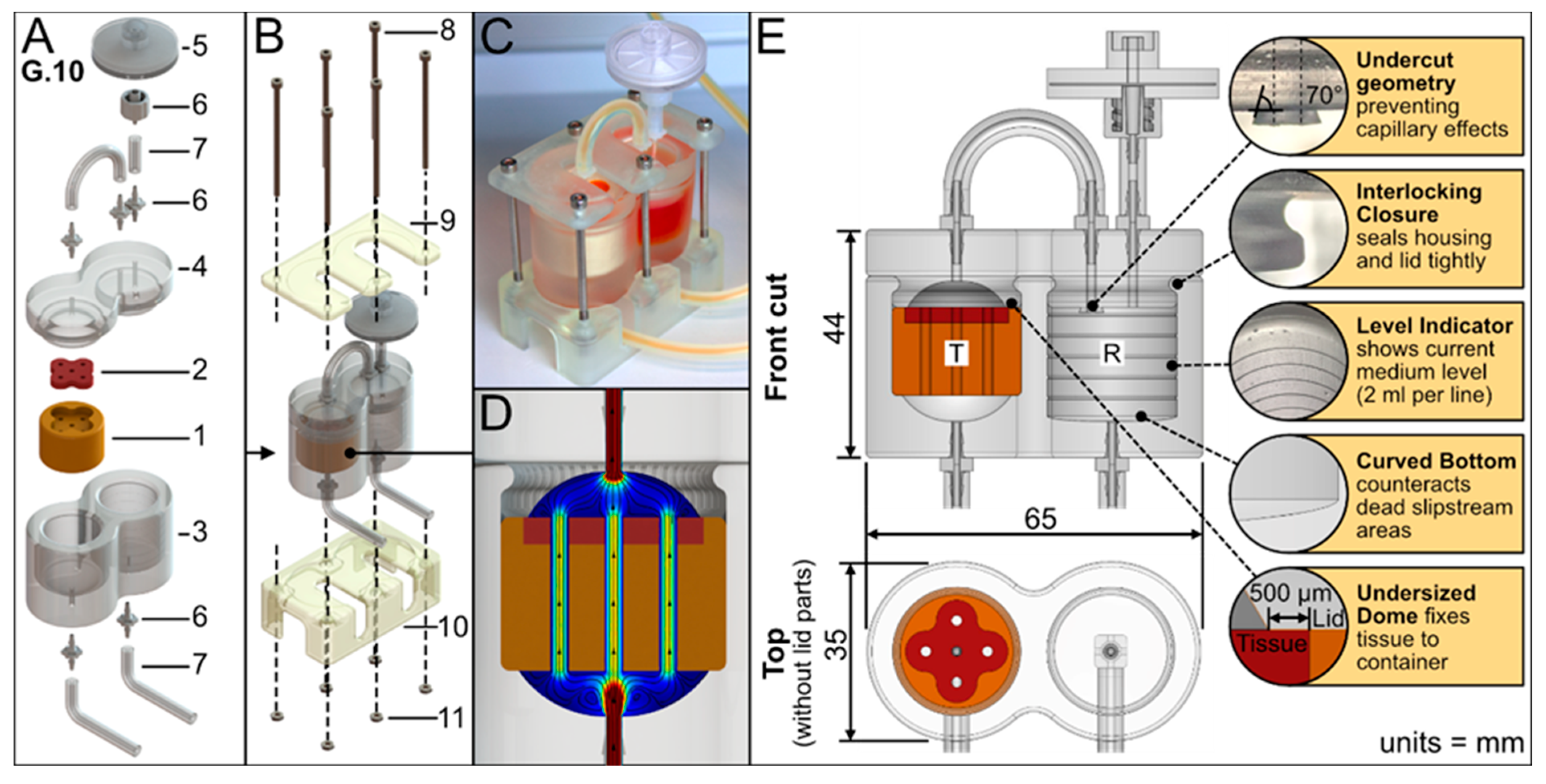Bioengineering 11 00068 g002