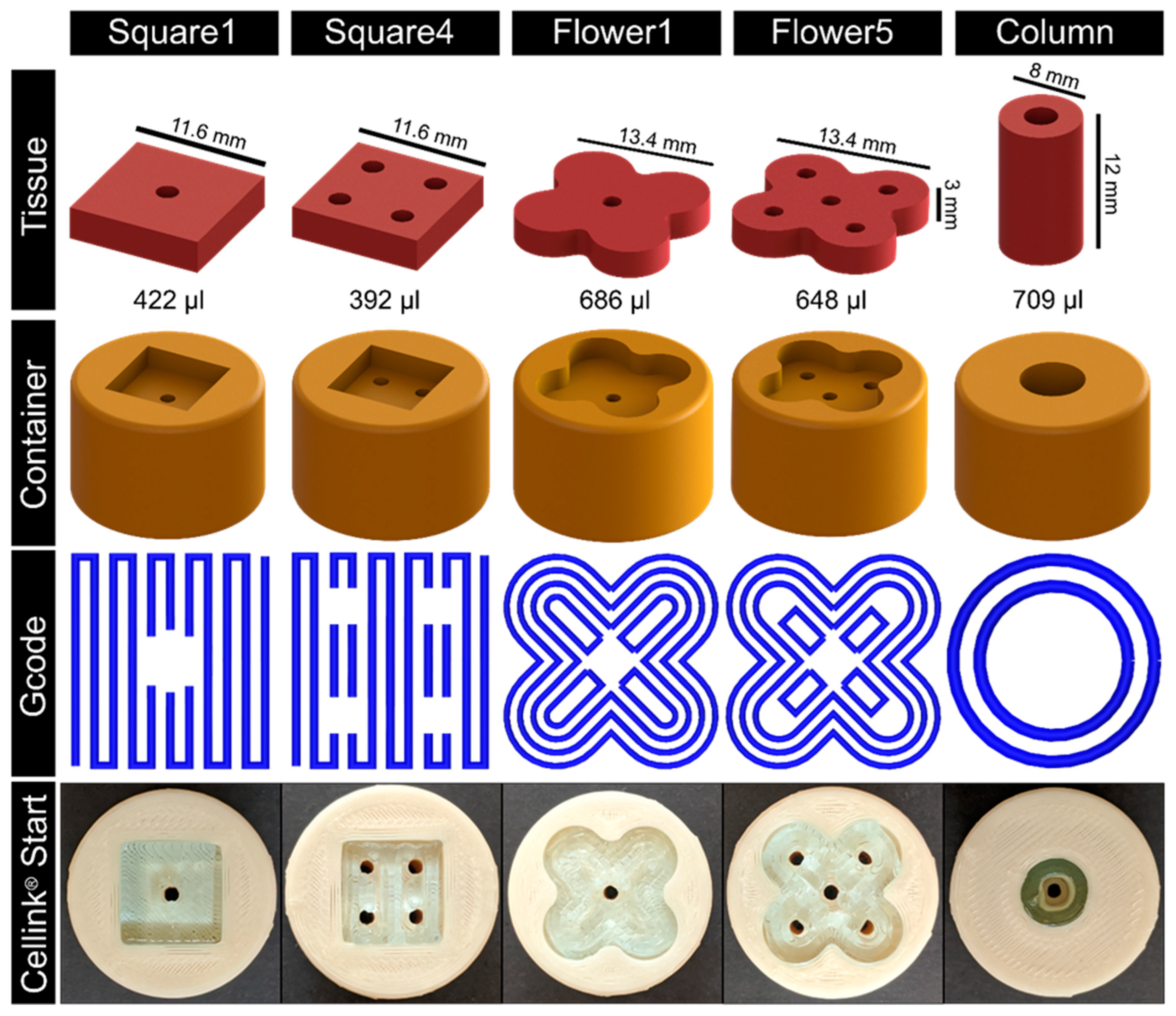 Bioengineering 11 00068 g003