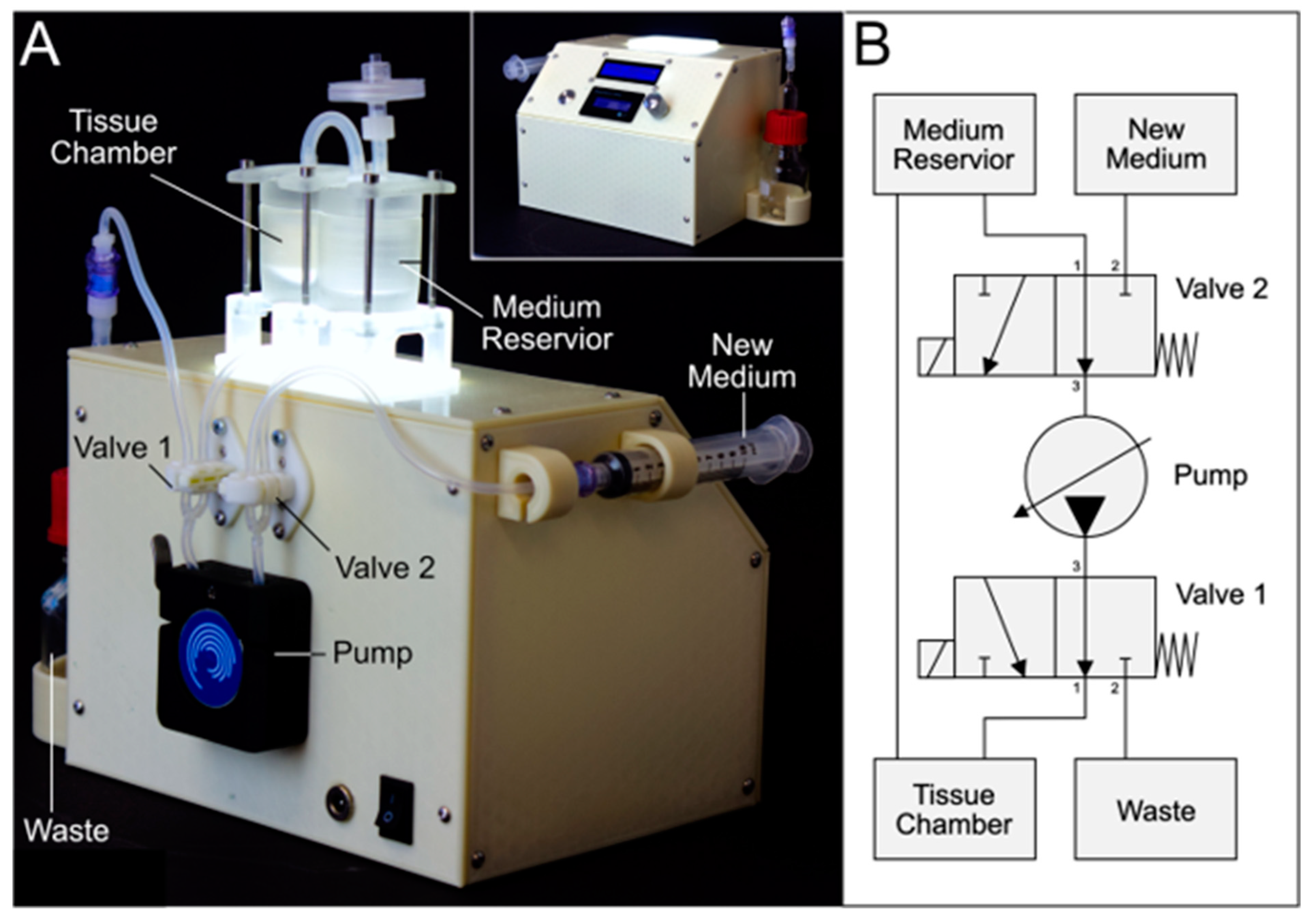 Bioengineering 11 00068 g008
